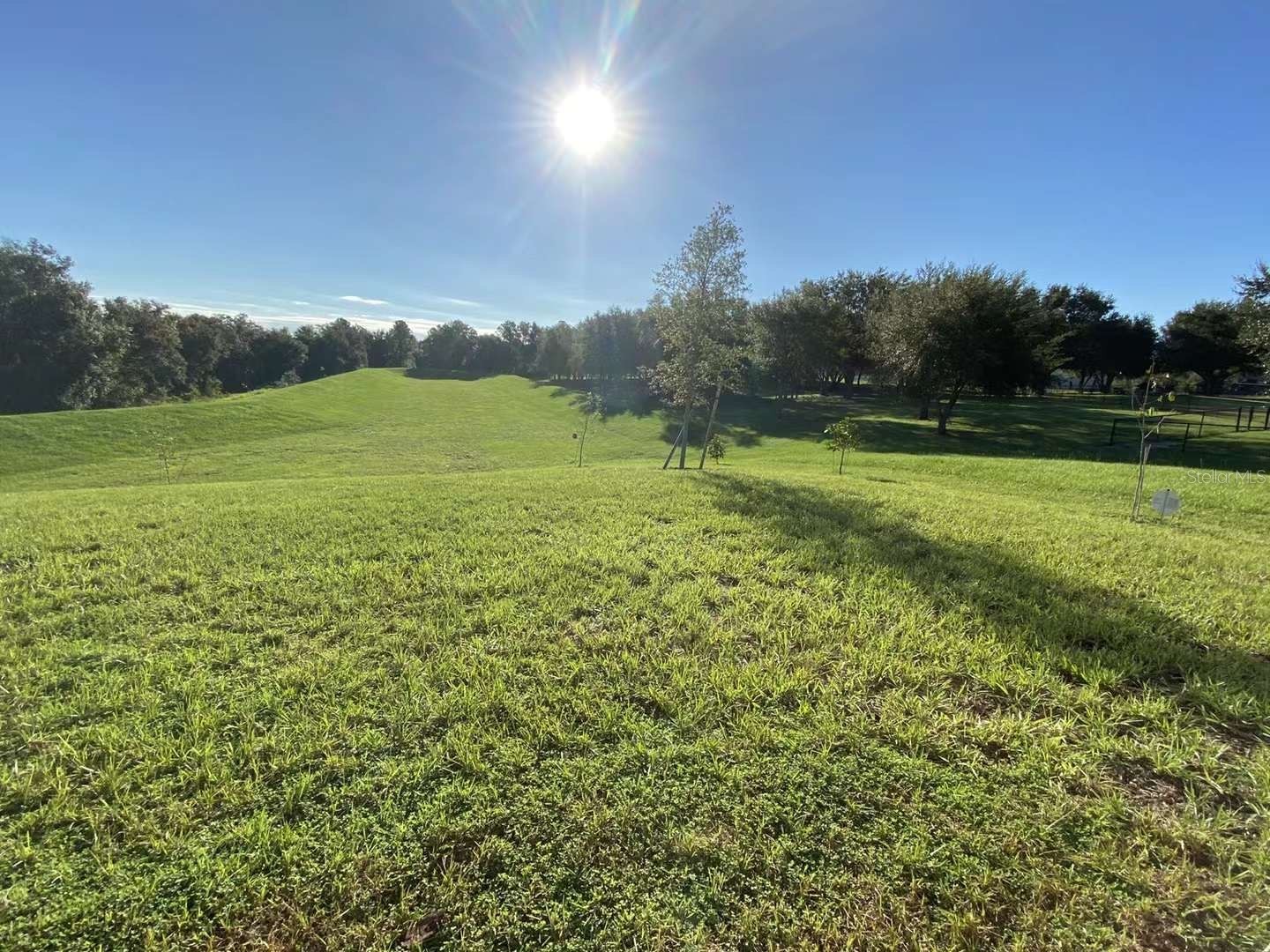 583 Black Eagle Drive Groveland FL 34736 O6410601 image60