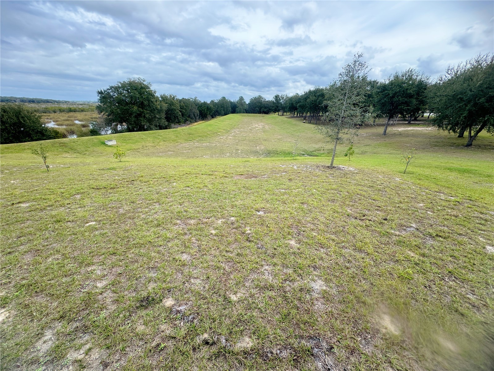 583 Black Eagle Drive Groveland FL 34736 O6410601 image61
