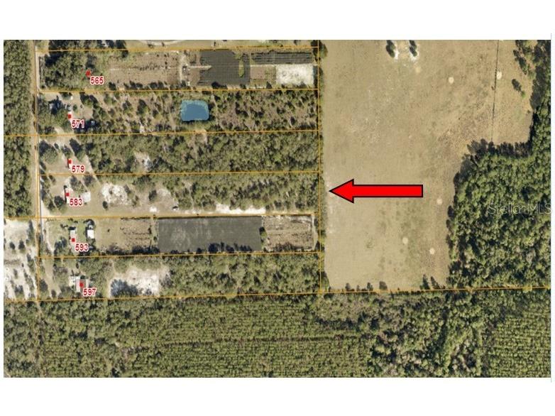 583 Emporia Road Pierson FL 32180 FC308948 image1