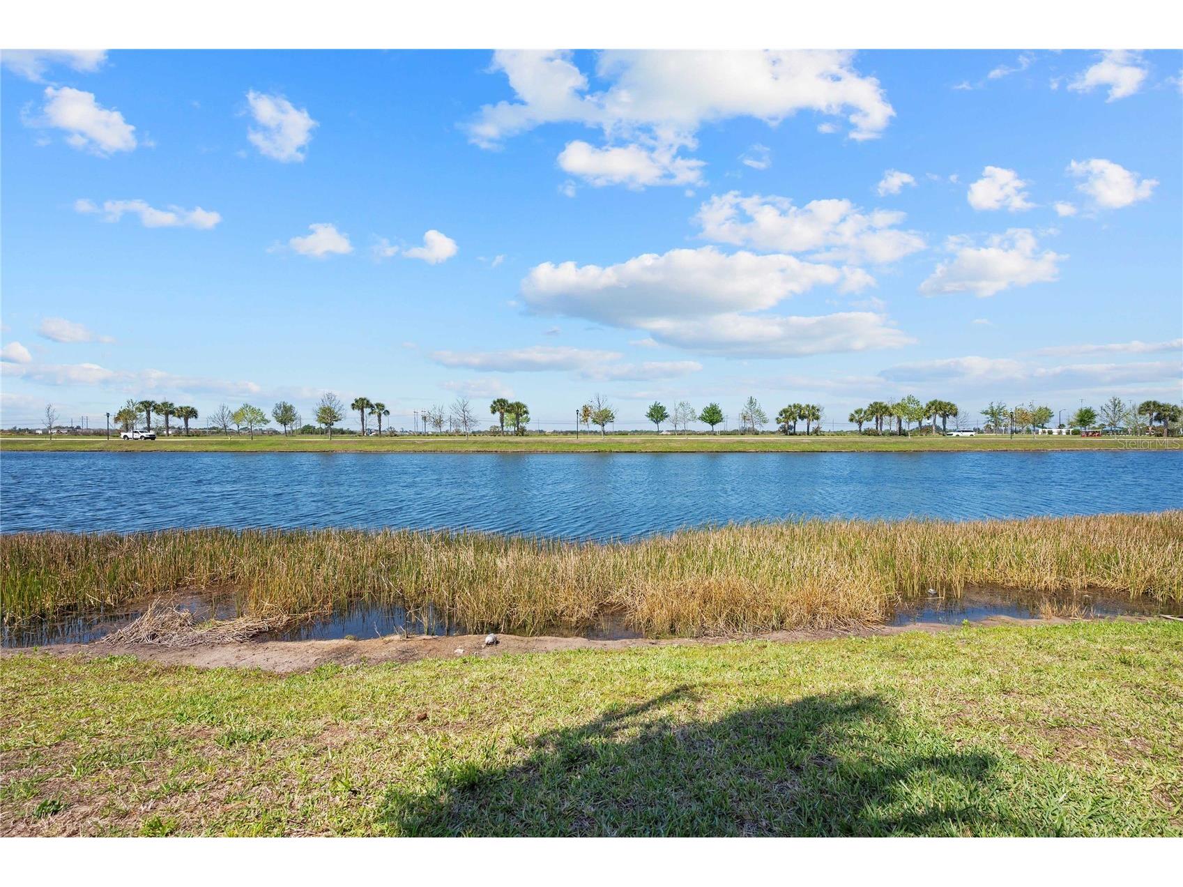 5830 Silver Sun Drive Apollo Beach FL 33572 TB8493406 image2