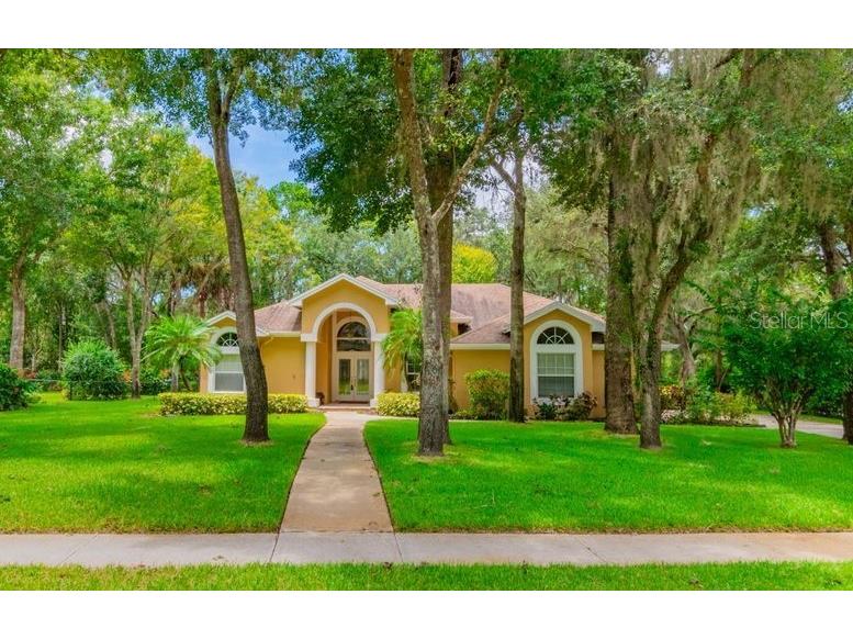 5831 Audubon Manor Boulevard Lithia FL 33547 T3547214 image1