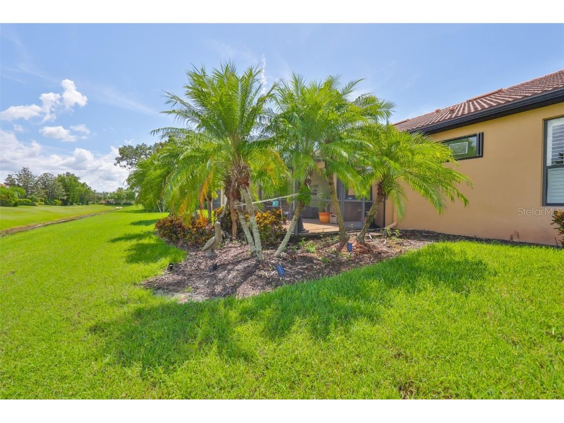 5831 Sunset Falls Drive Apollo Beach FL 33572 TB8424933 image28