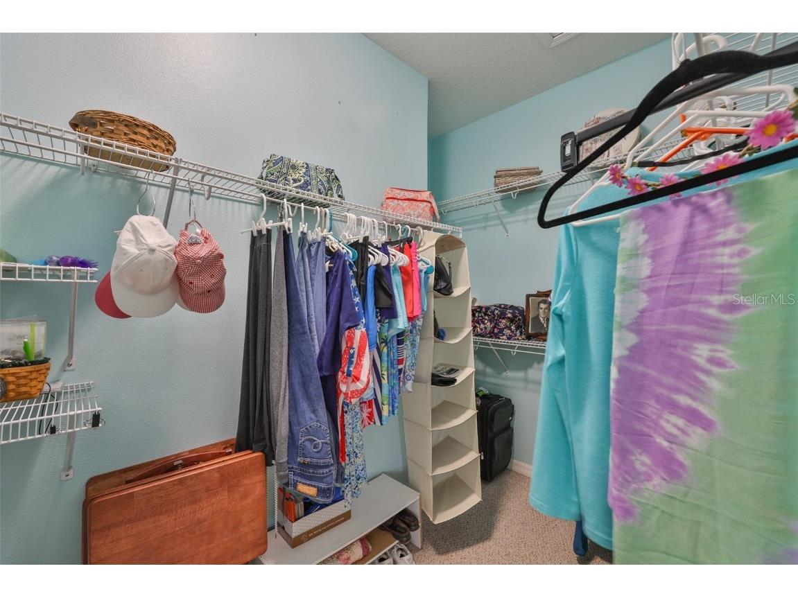 5831 Sunset Falls Drive Apollo Beach FL 33572 TB8424933 image34