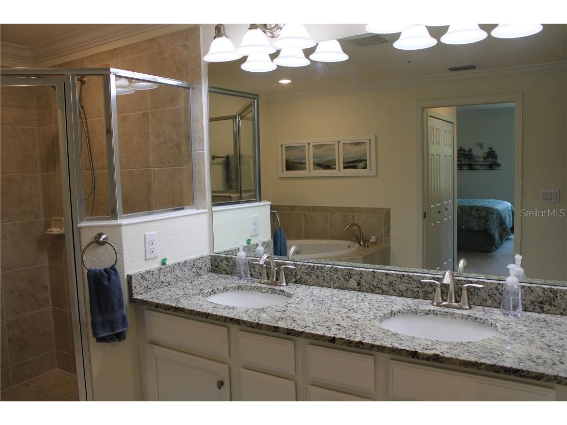 5831 Wake Forest Run #101 Bradenton FL 34211 A4568749 image21