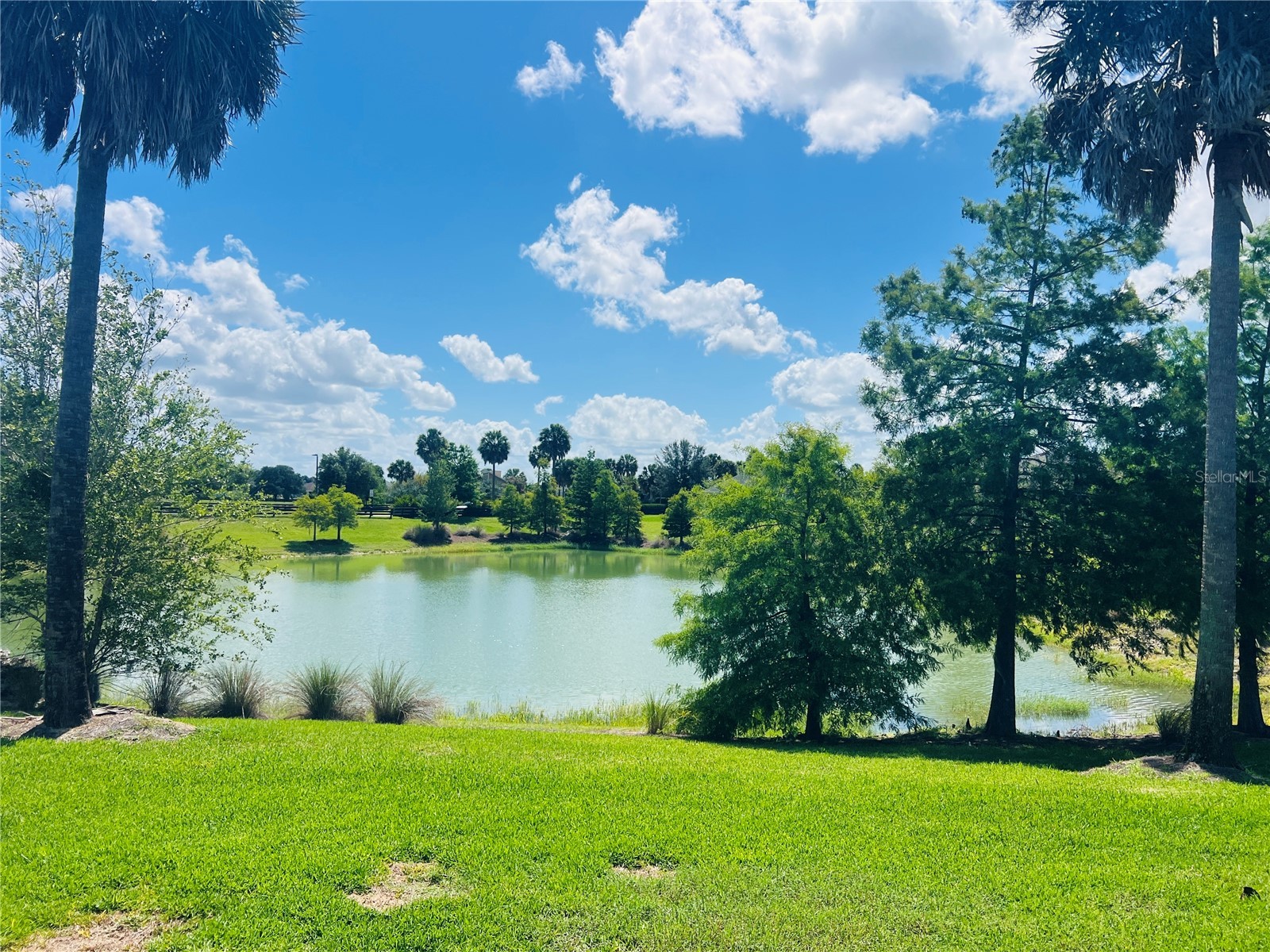 5833 Abney Avenue The Villages FL 32163 OM726116 image6