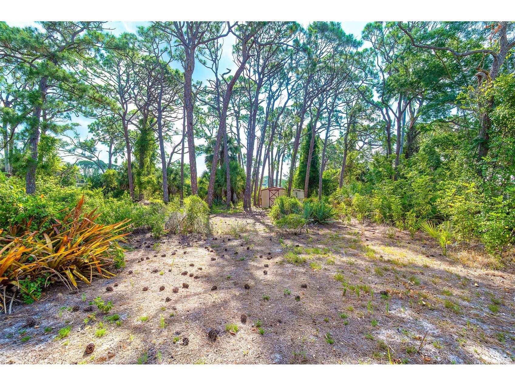 5833 S Miami Road Venice FL 34293 D6147838 image51
