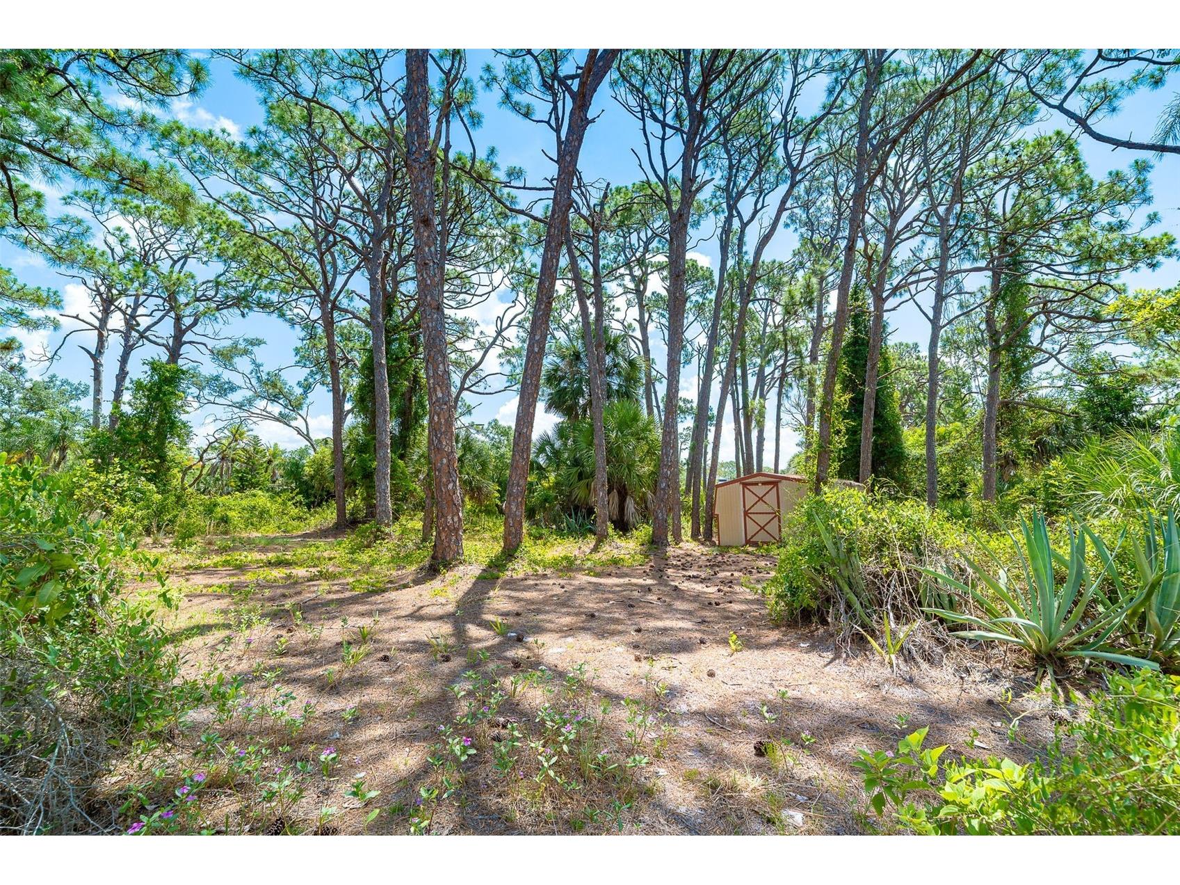 5833 S Miami Road Venice FL 34293 D6147838 image52