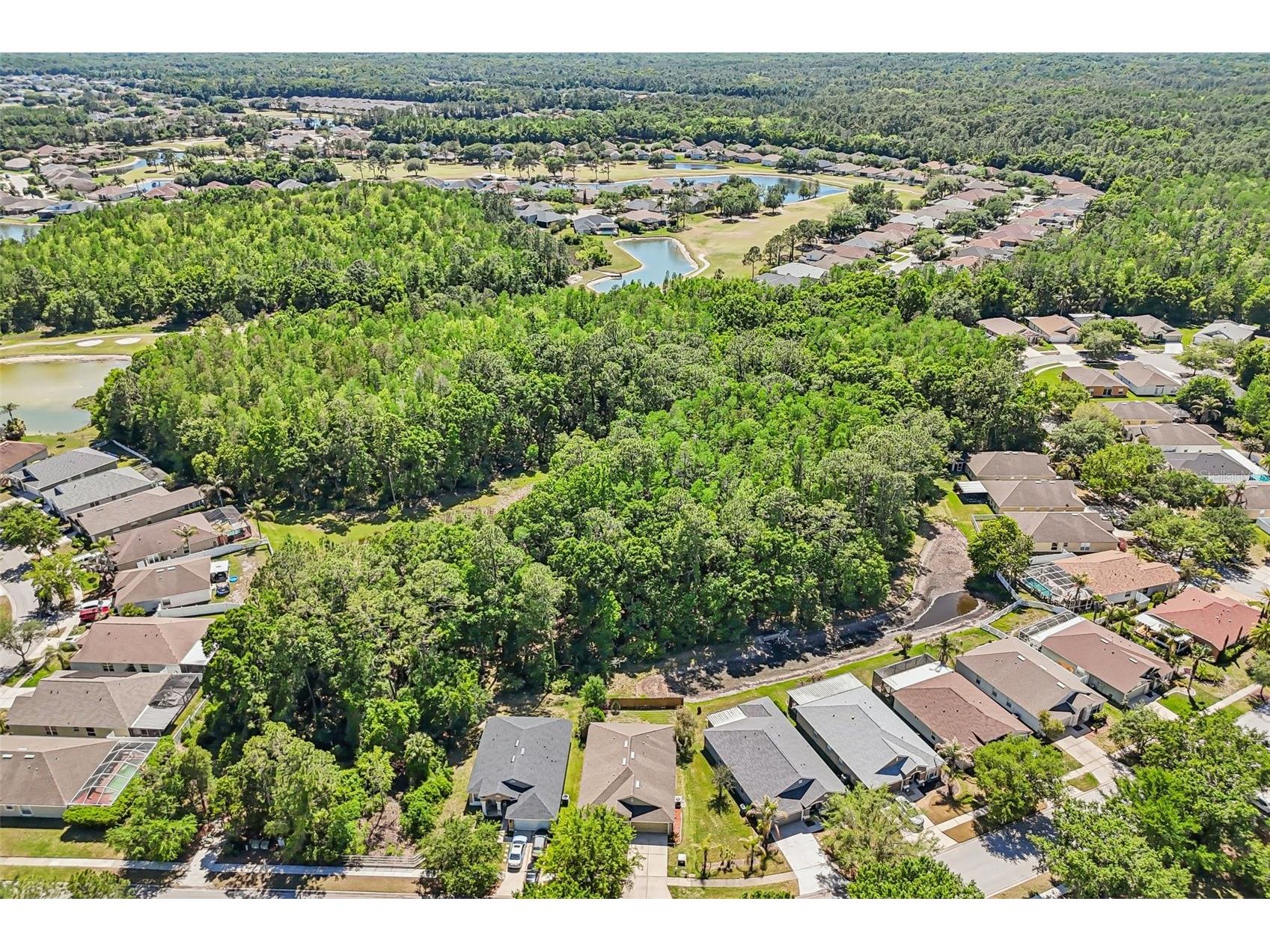 5833 War Admiral Drive Wesley Chapel FL 33544 TB8498639 image39