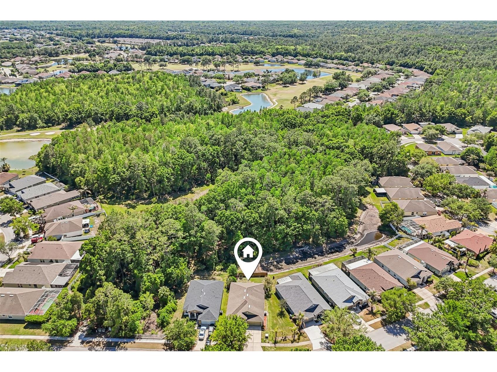 5833 War Admiral Drive Wesley Chapel FL 33544 TB8498639 image40