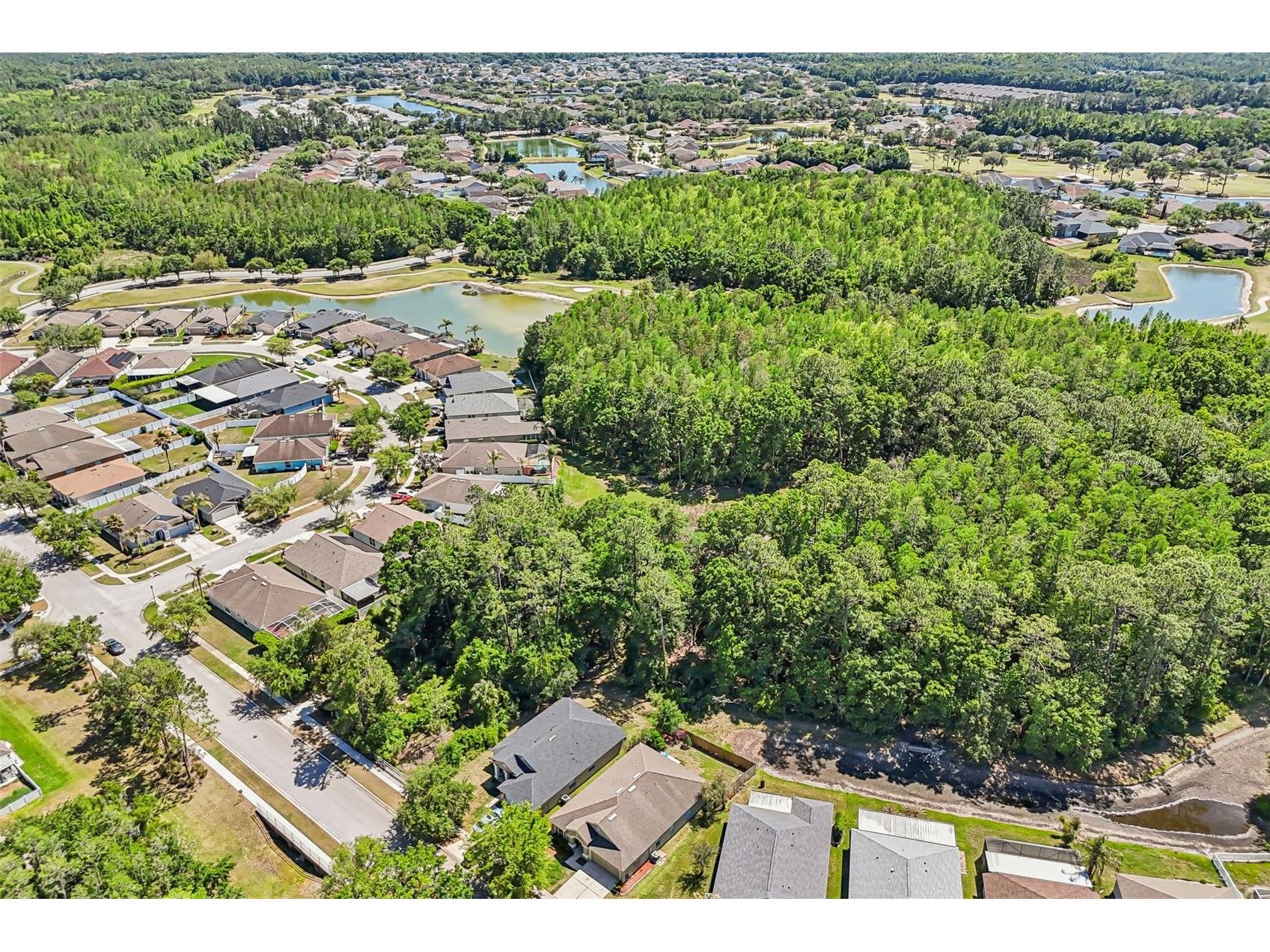 5833 War Admiral Drive Wesley Chapel FL 33544 TB8498639 image41