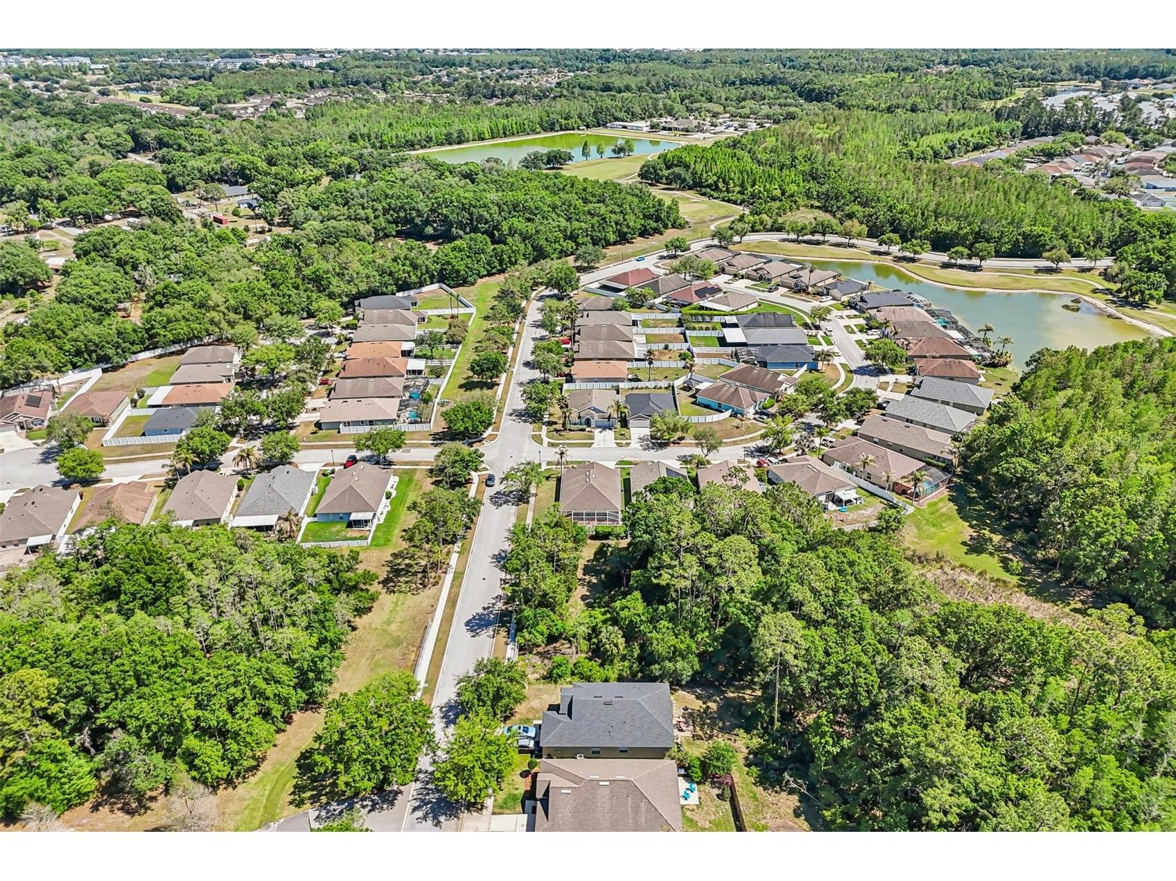 5833 War Admiral Drive Wesley Chapel FL 33544 TB8498639 image42