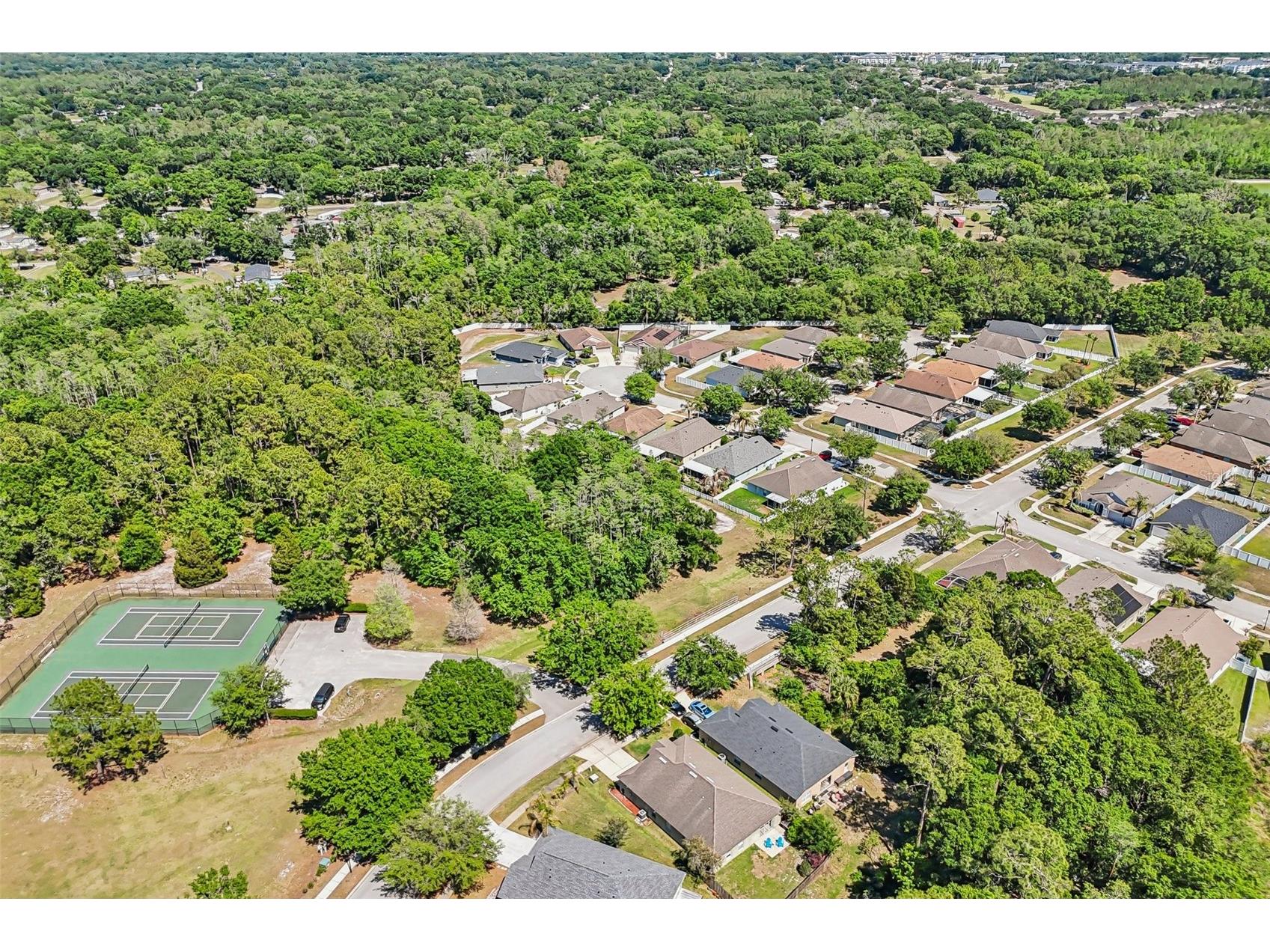 5833 War Admiral Drive Wesley Chapel FL 33544 TB8498639 image43