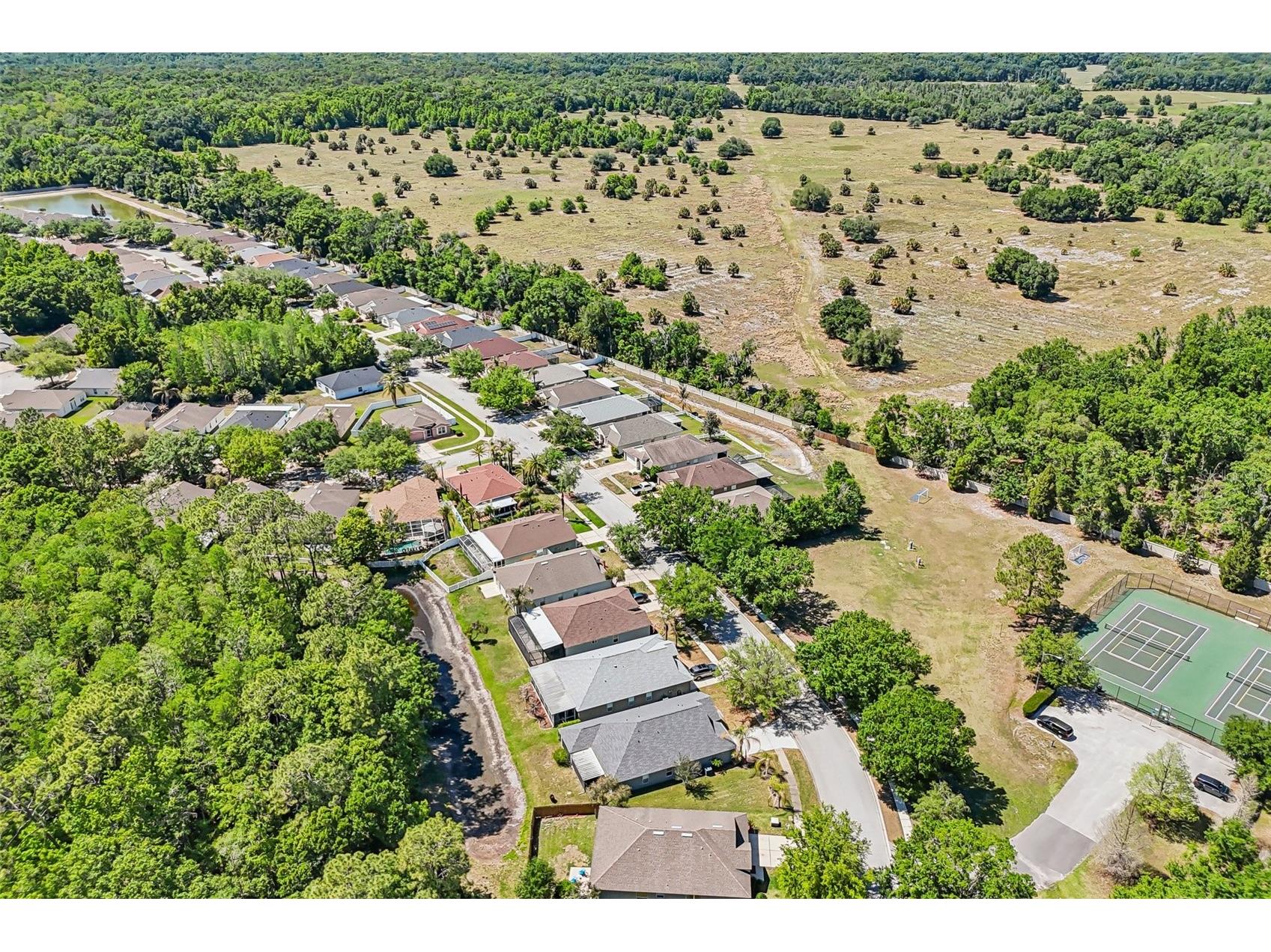 5833 War Admiral Drive Wesley Chapel FL 33544 TB8498639 image46