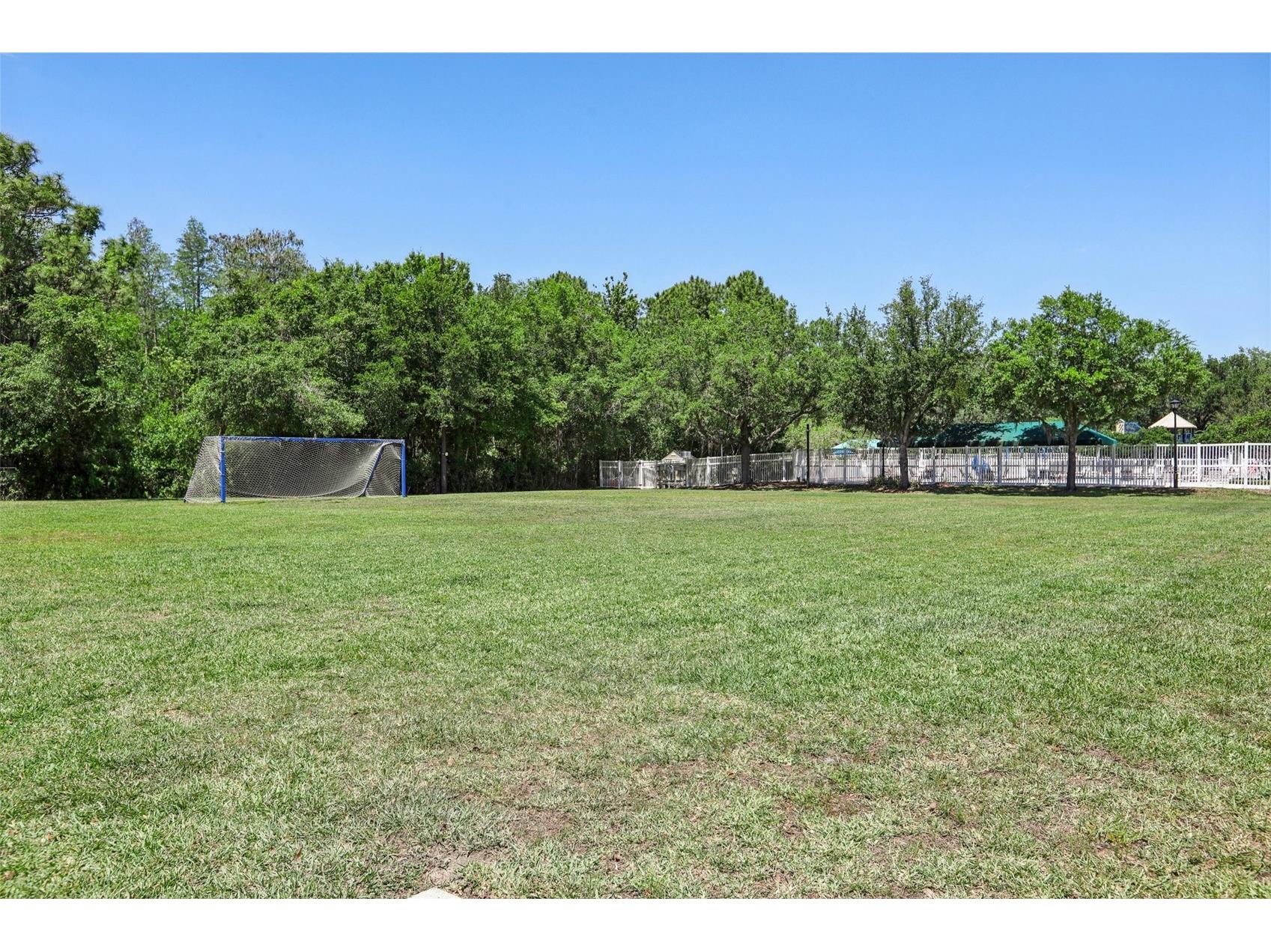 5833 War Admiral Drive Wesley Chapel FL 33544 TB8498639 image49