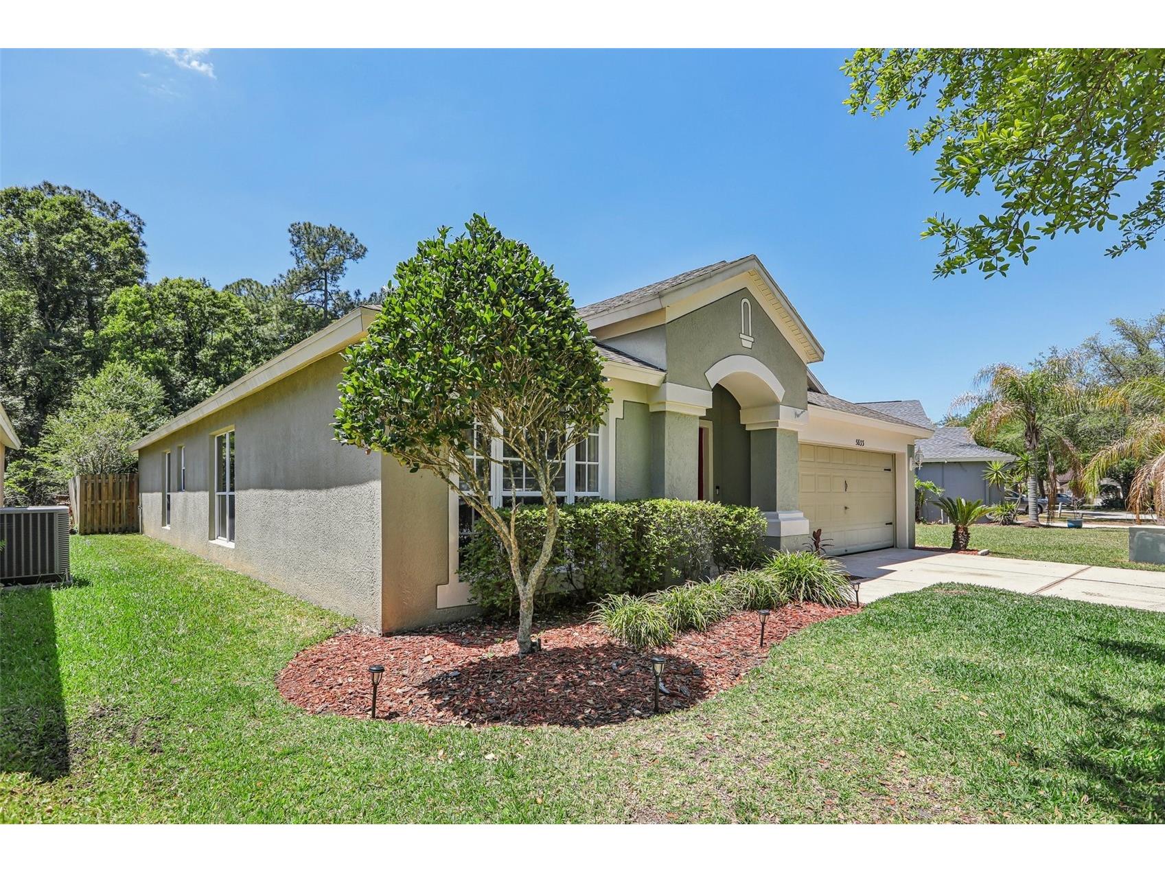 5833 War Admiral Drive Wesley Chapel FL 33544 TB8498639 image5