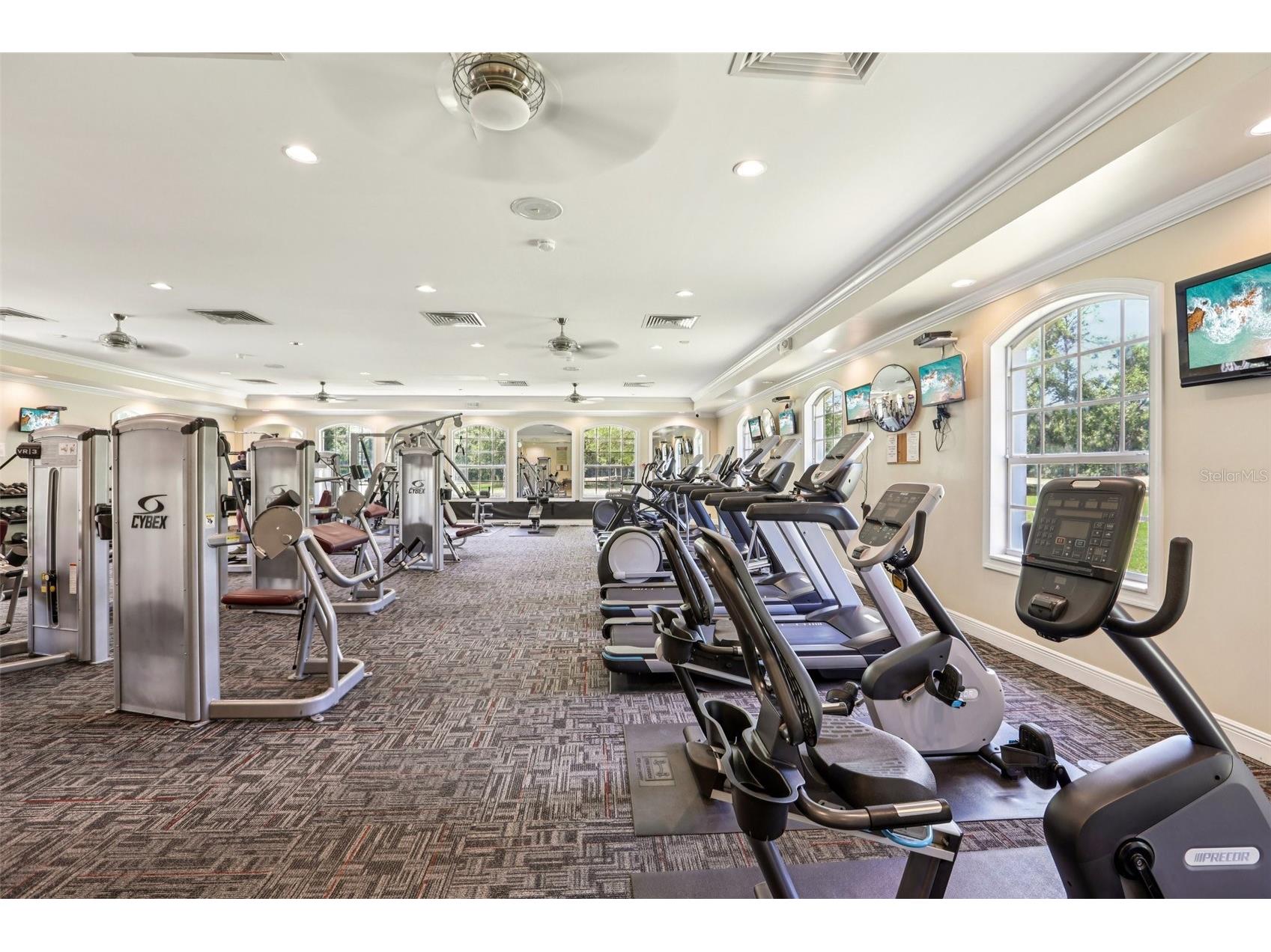 5833 War Admiral Drive Wesley Chapel FL 33544 TB8498639 image51