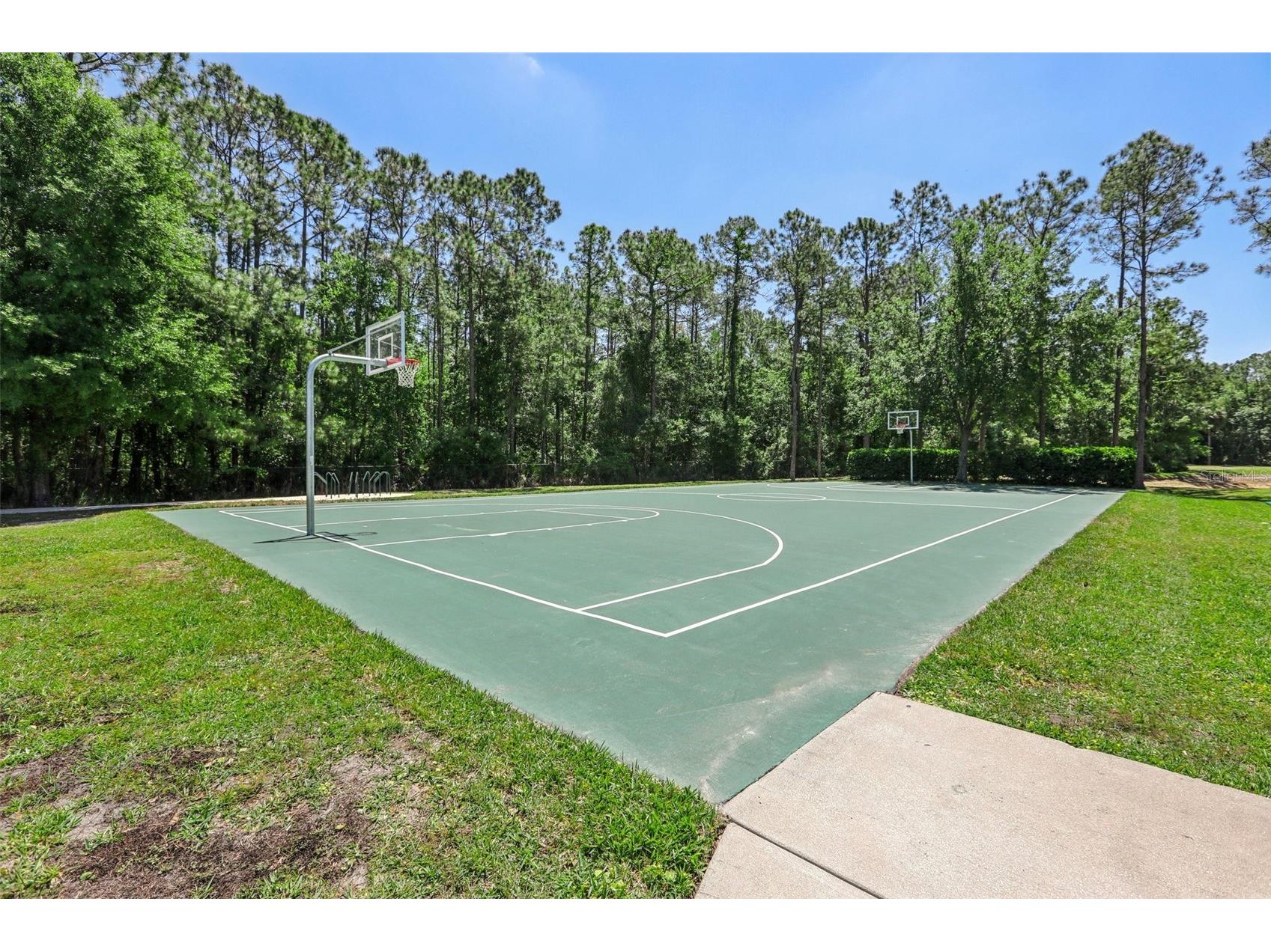 5833 War Admiral Drive Wesley Chapel FL 33544 TB8498639 image56