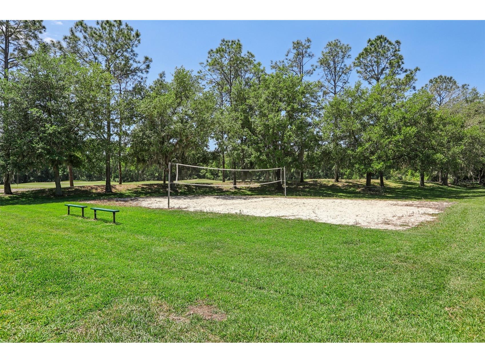 5833 War Admiral Drive Wesley Chapel FL 33544 TB8498639 image57