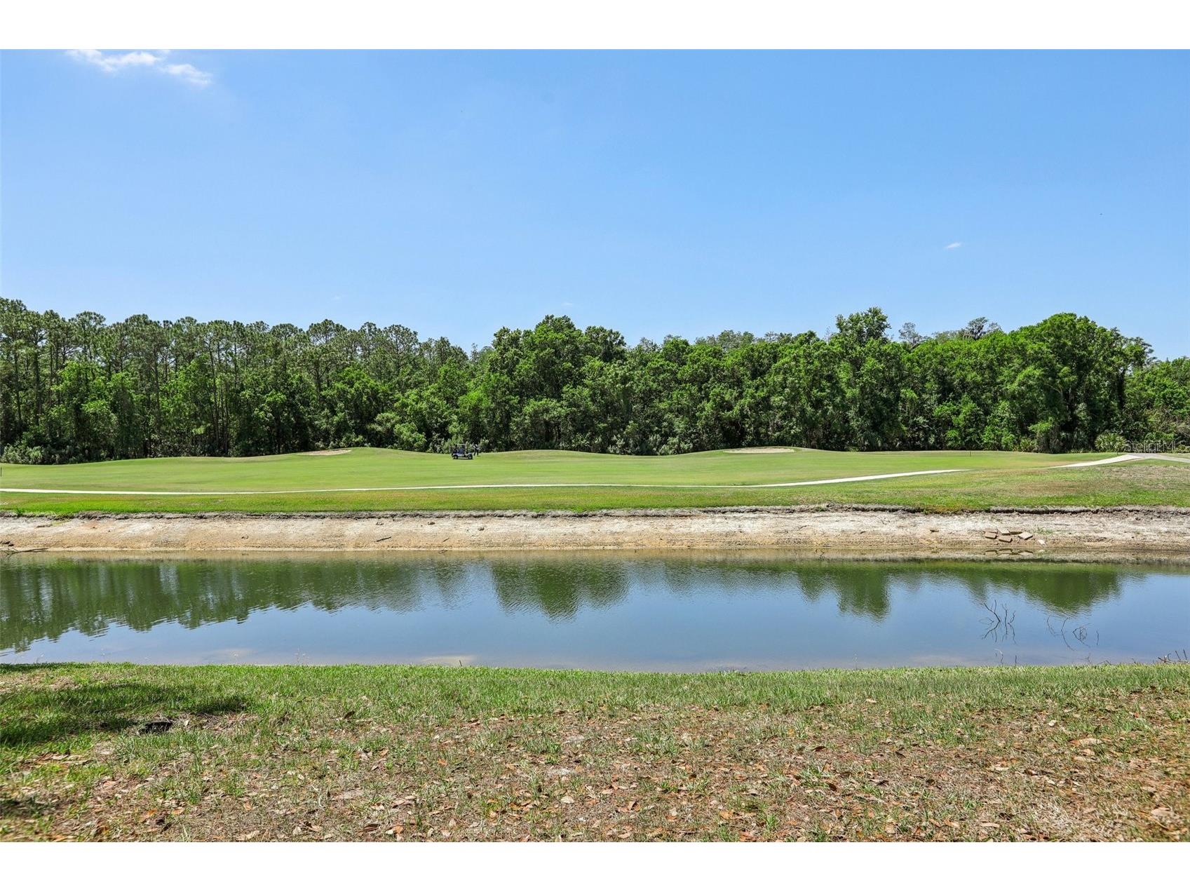 5833 War Admiral Drive Wesley Chapel FL 33544 TB8498639 image59