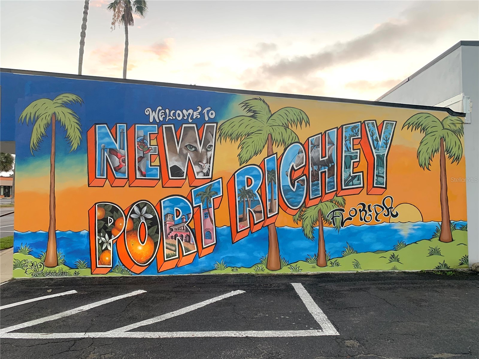 5834 Montana Avenue New Port Richey FL 34652 GC538316 image47