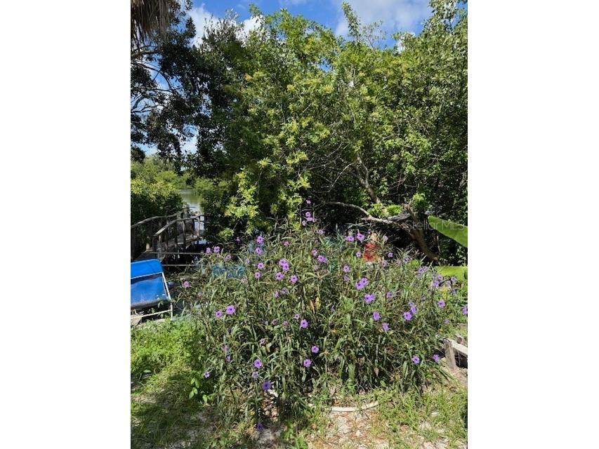 5834 Sussex Drive Tampa FL 33615 TB8428387 image12