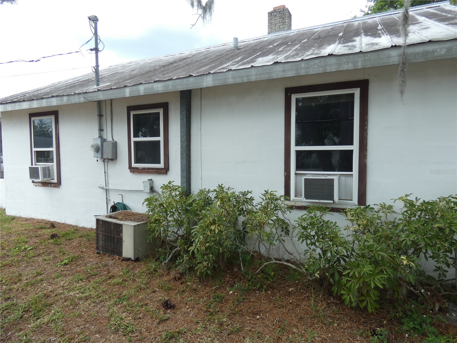 5834 Van Buren Street New Port Richey FL 34653 W7885255 image3