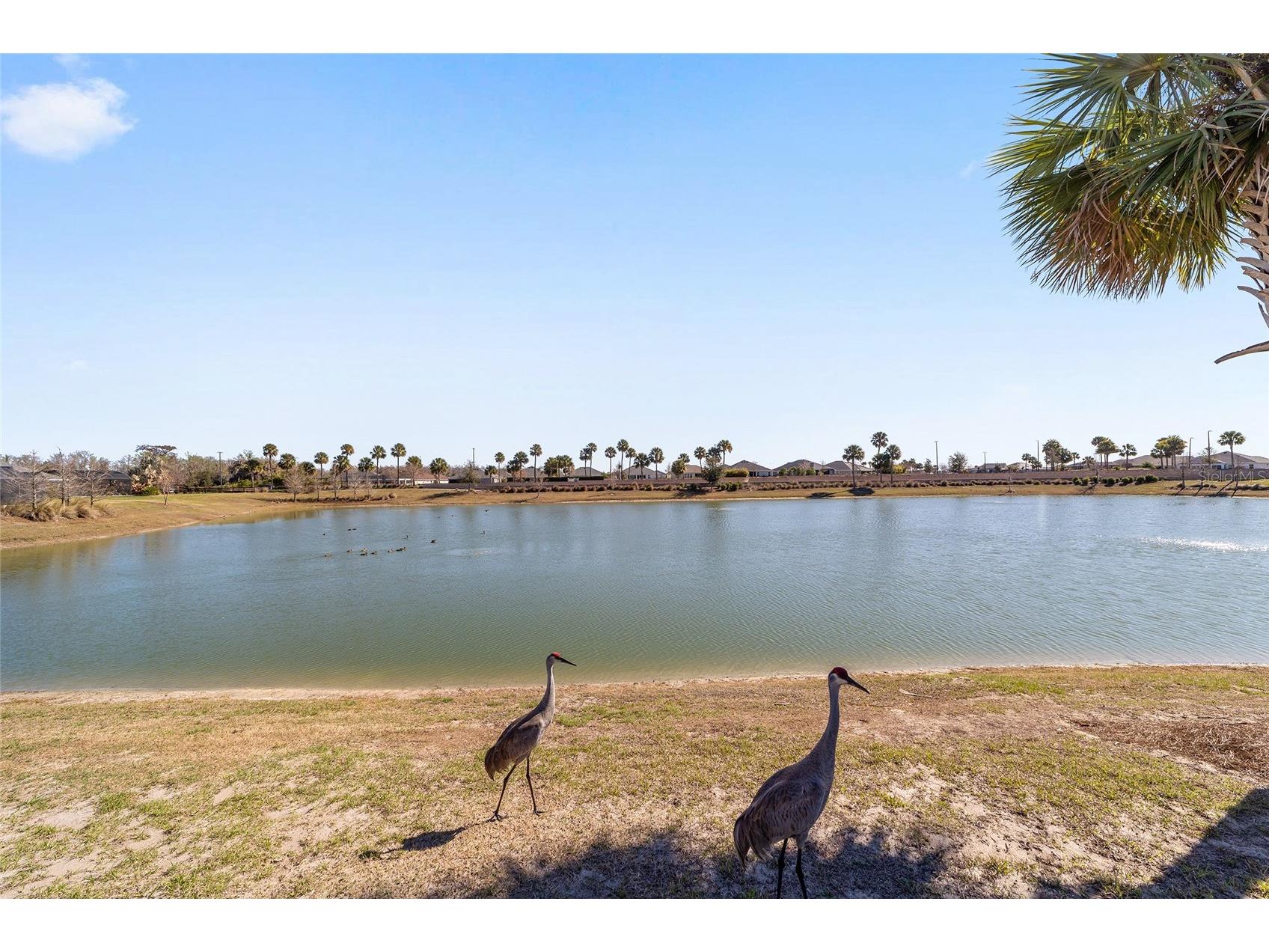 5835 Tupper Court The Villages FL 32163 G5108471 image52