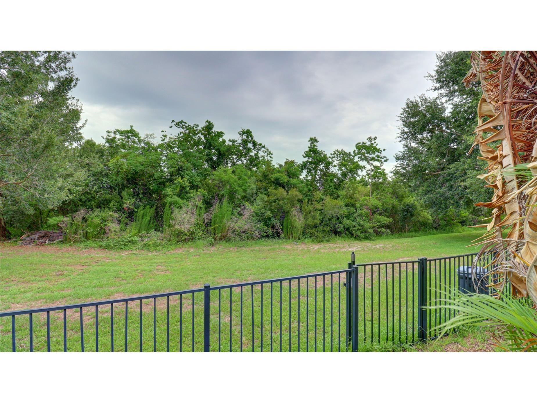 5836 Candytuft Place Land O Lakes FL 34639 TB8515562 image61