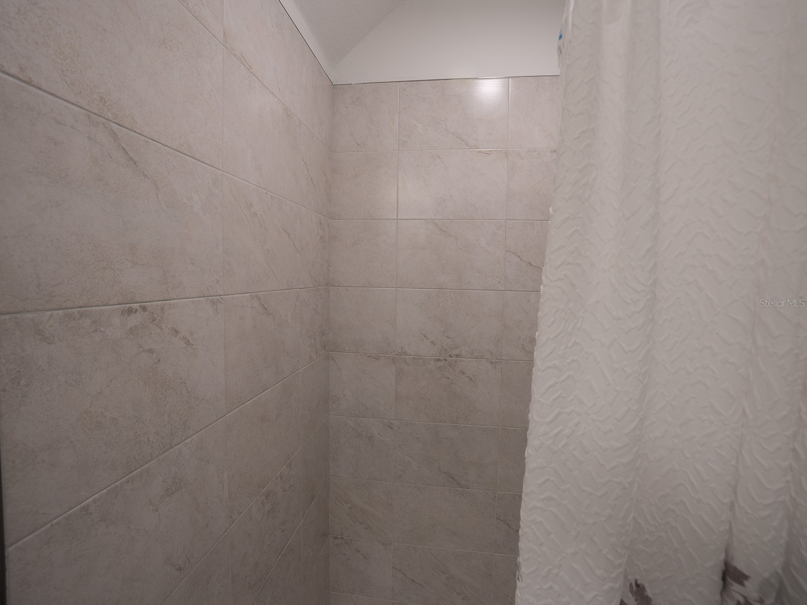 5836 Timberdale Avenue Wesley Chapel FL 33545 TB8479204 image22