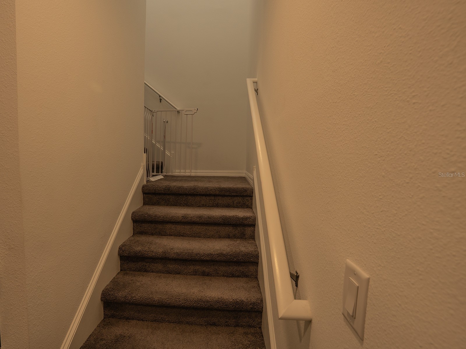 5836 Timberdale Avenue Wesley Chapel FL 33545 TB8479204 image24