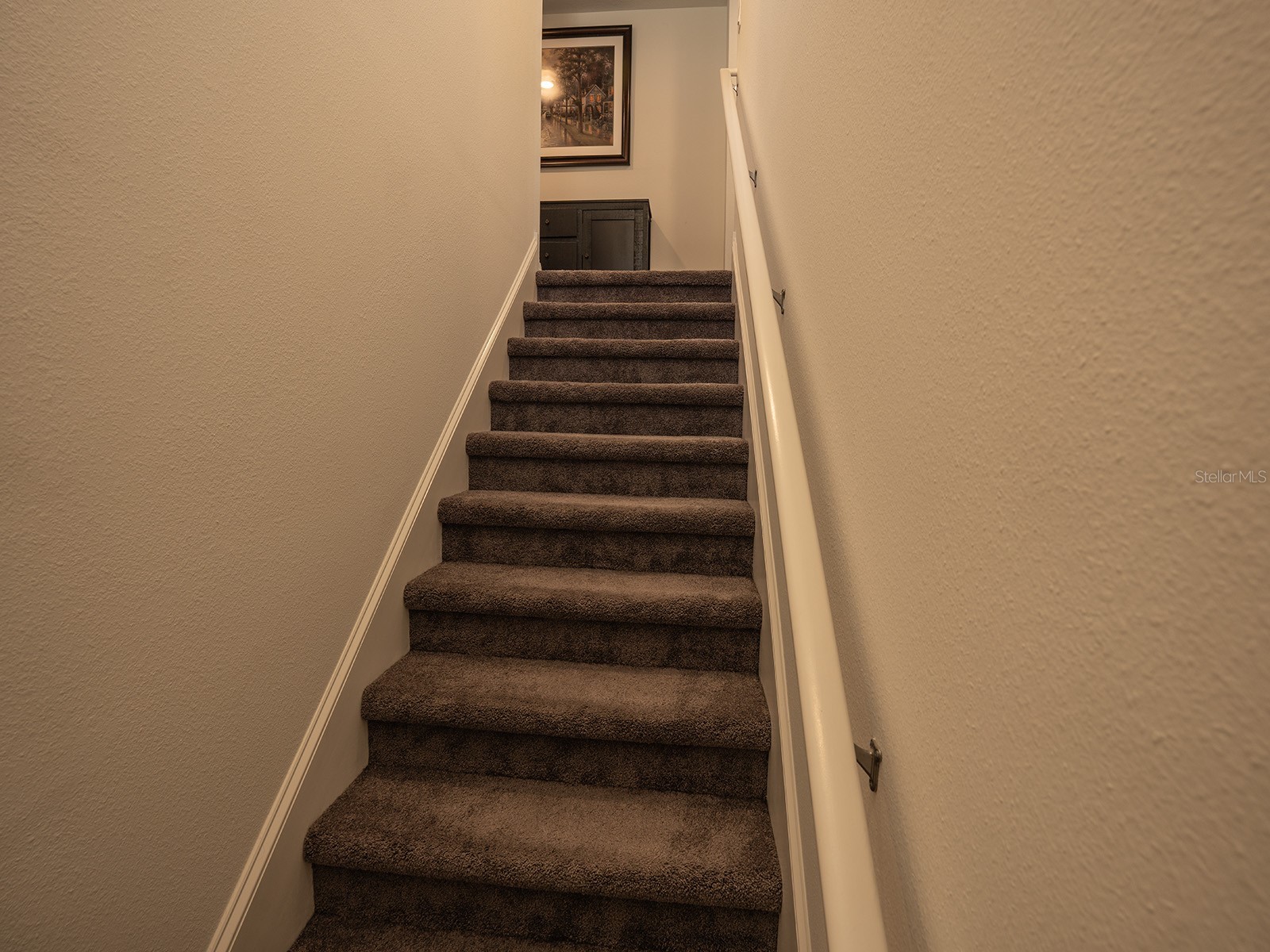 5836 Timberdale Avenue Wesley Chapel FL 33545 TB8479204 image25