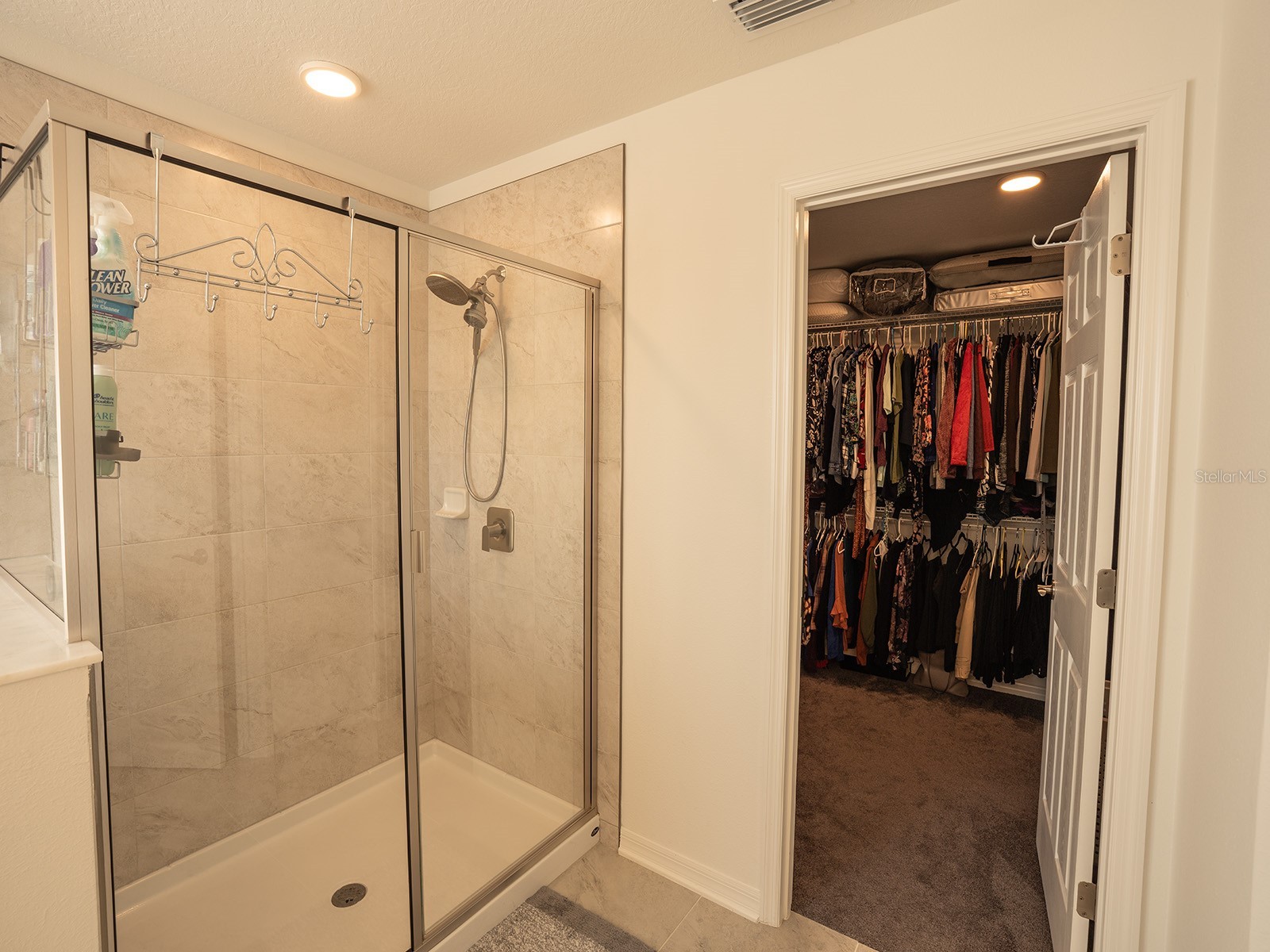 5836 Timberdale Avenue Wesley Chapel FL 33545 TB8479204 image32