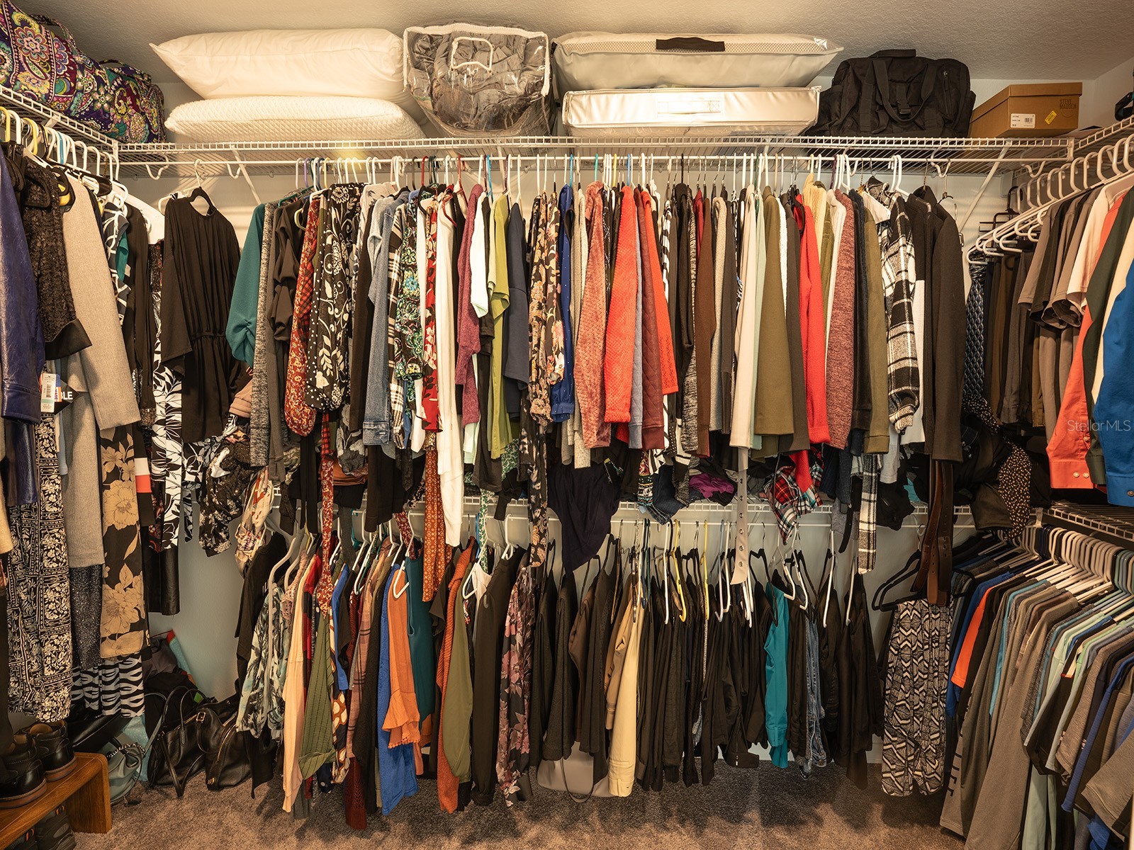 5836 Timberdale Avenue Wesley Chapel FL 33545 TB8479204 image34