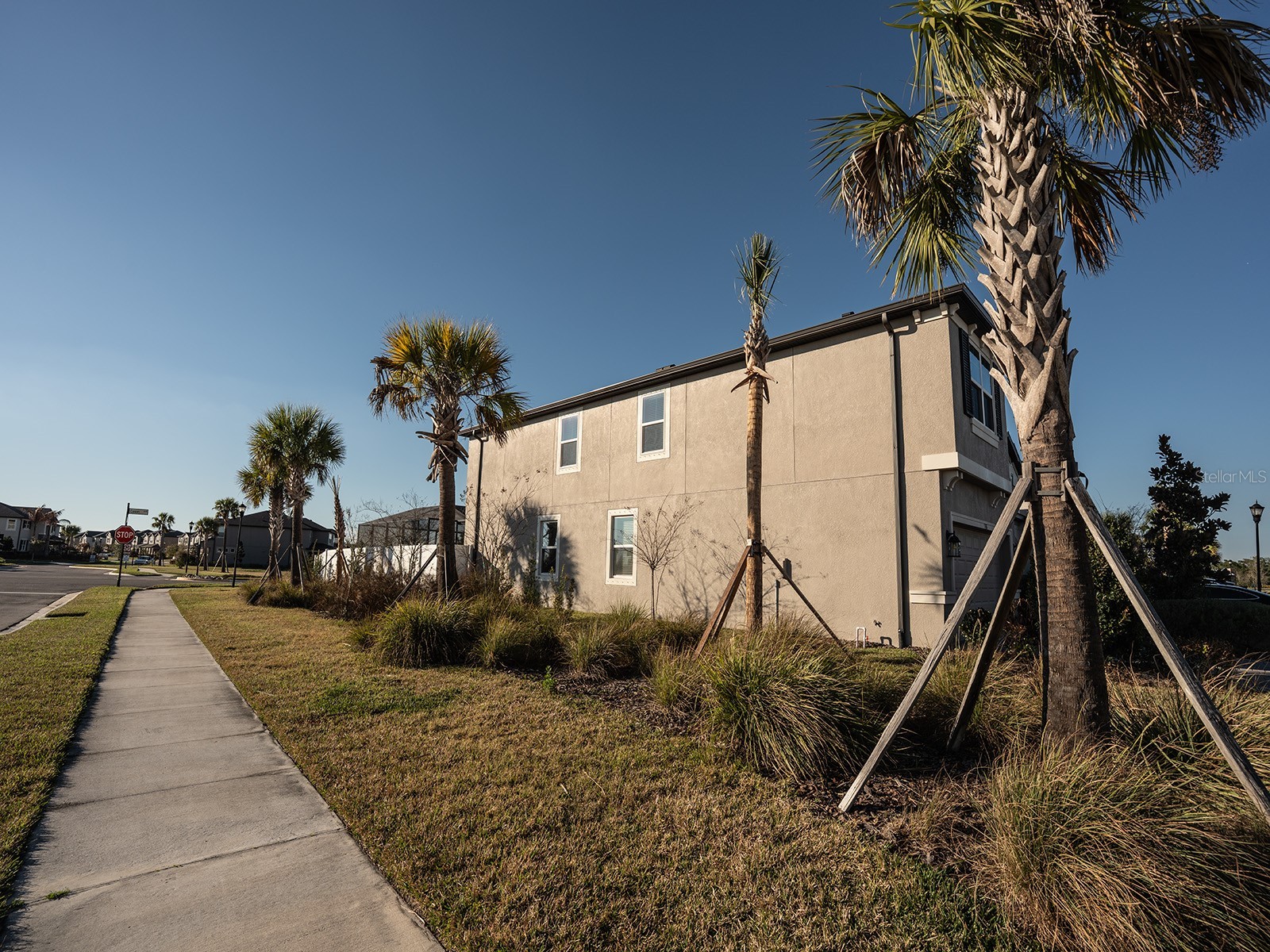 5836 Timberdale Avenue Wesley Chapel FL 33545 TB8479204 image60