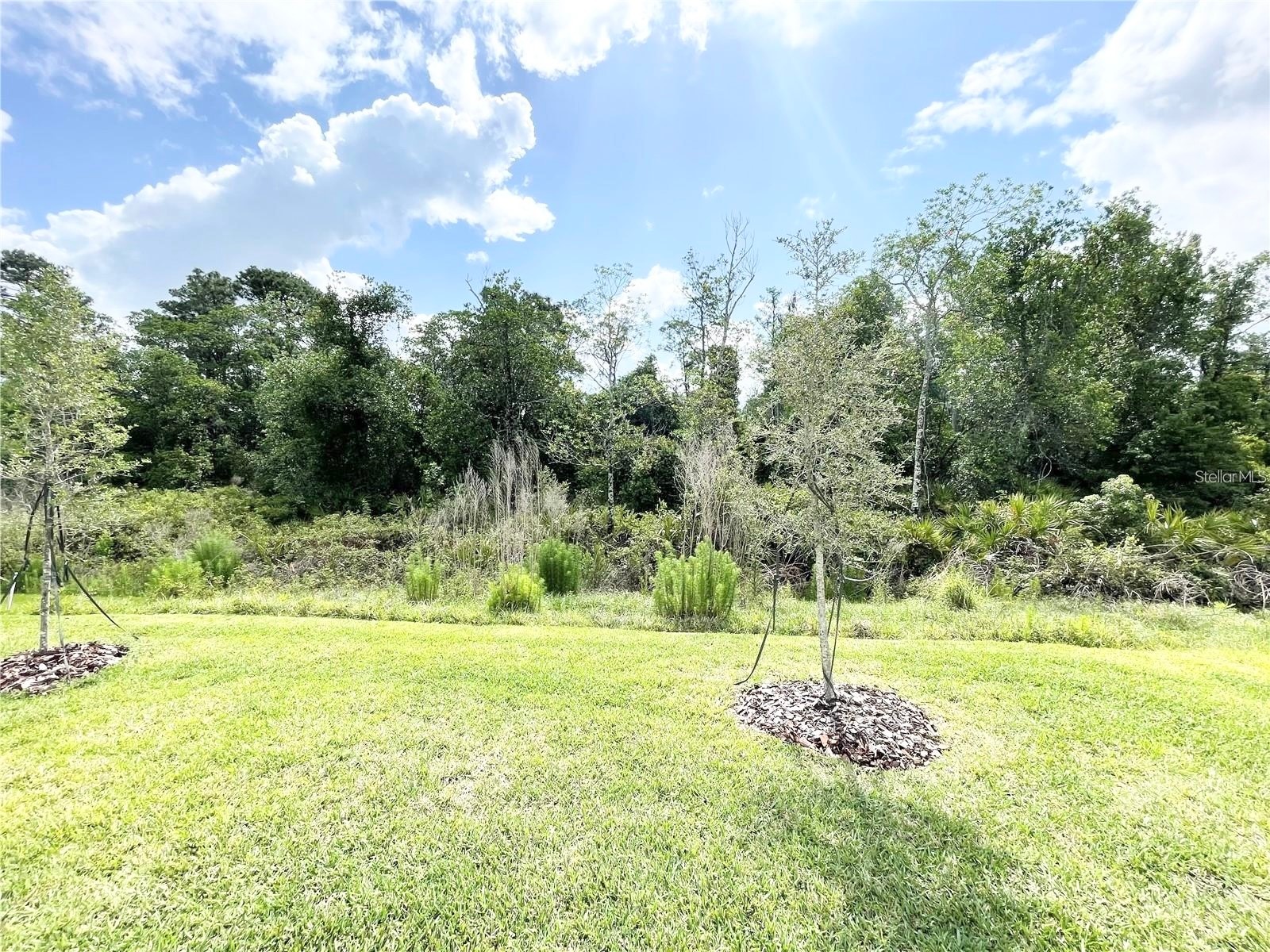 5837 Wooden Pine Drive Orlando FL 32829 O6381678 image20