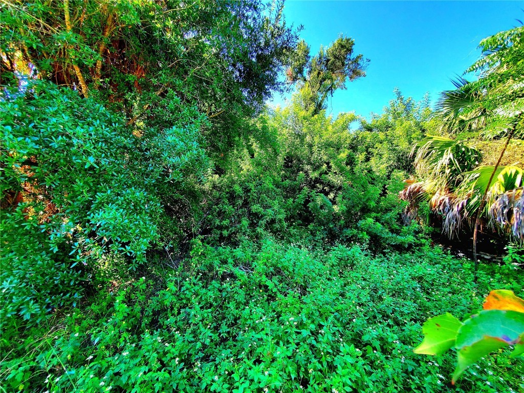 5838 Sun Glo Avenue Port Richey FL 34668 TB8430765 image16