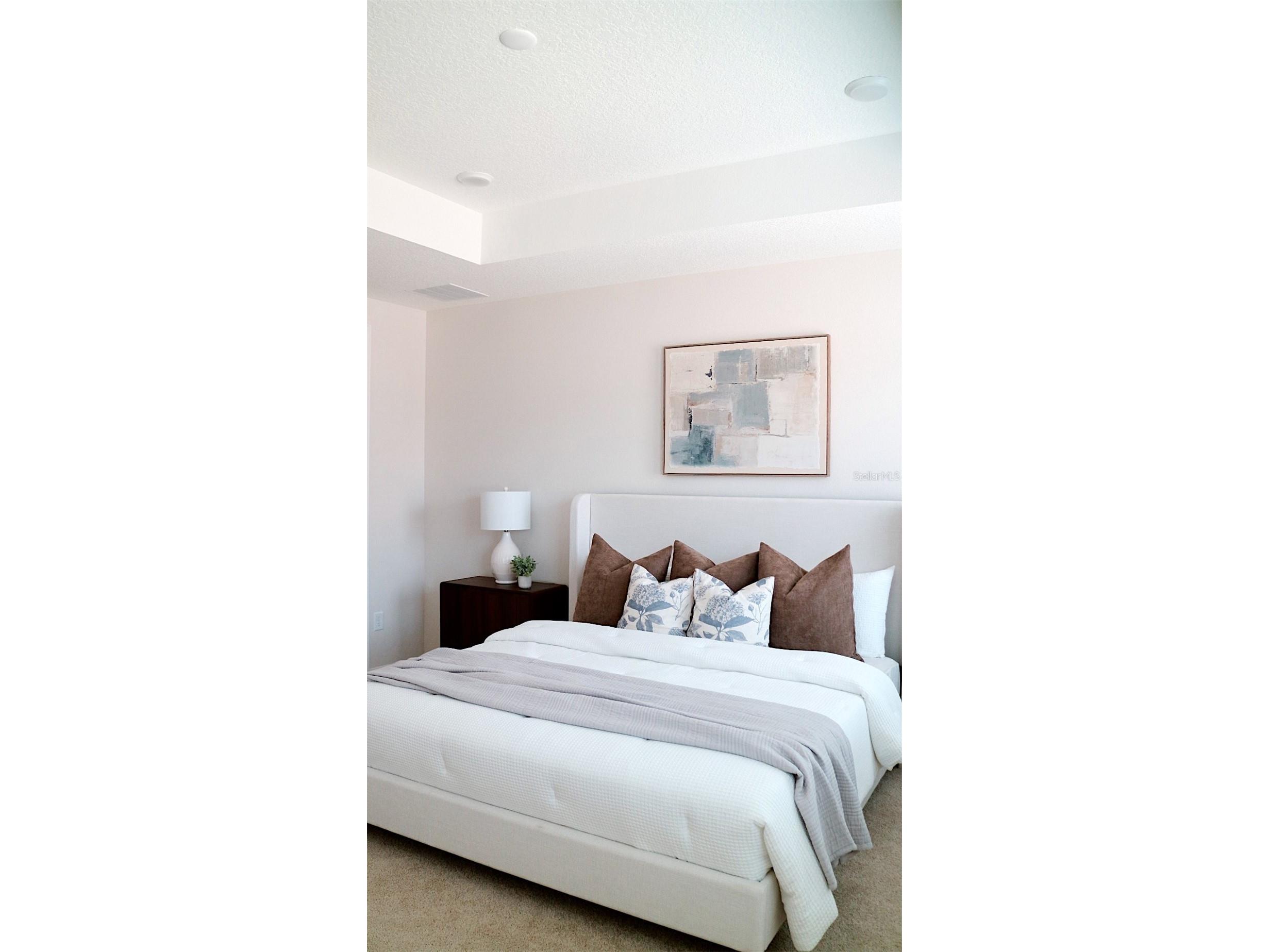 5839 Angela Leyla Place Riverview FL 33578 O6390954 image10