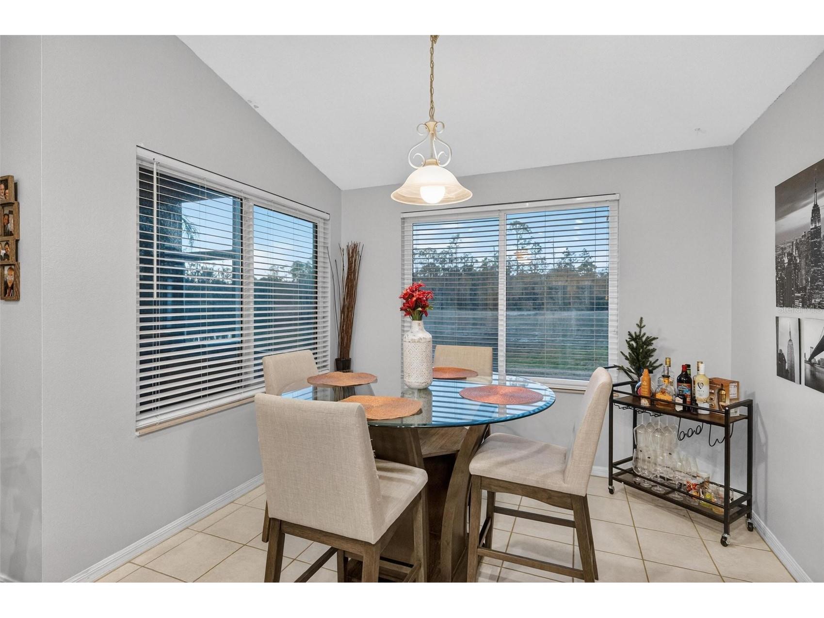 5839 Montford Drive Zephyrhills FL 33541 O6381563 image22