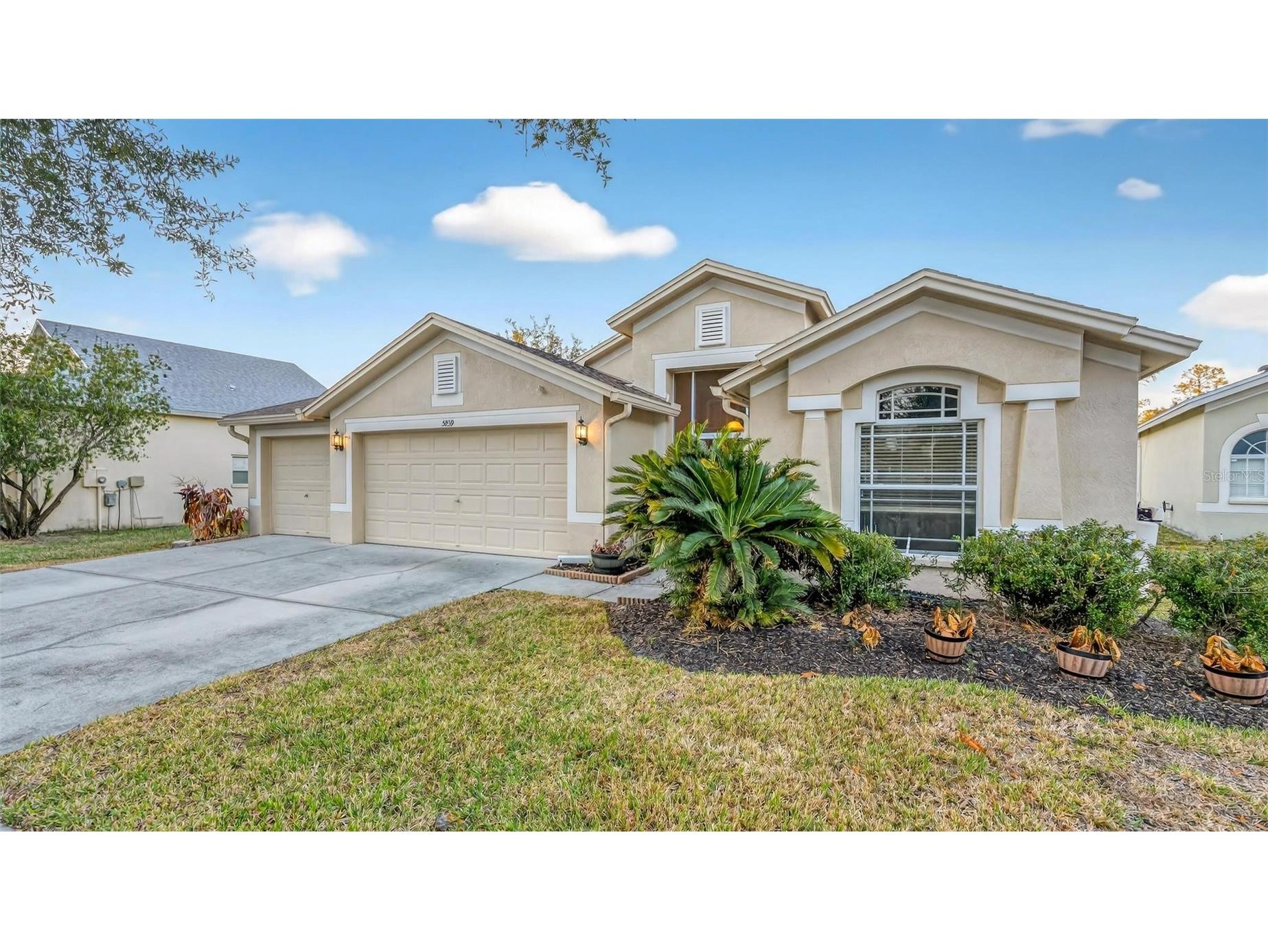5839 Montford Drive Zephyrhills FL 33541 O6381563 image4