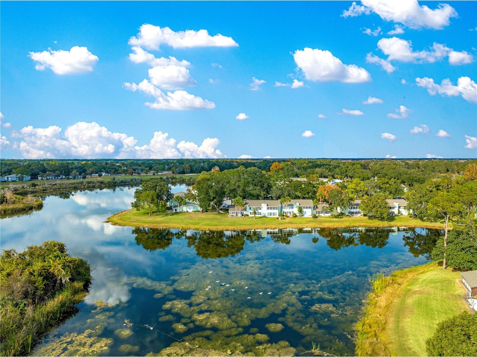 584 Fairways Circle #A Ocala FL 34472 OM714766 image39