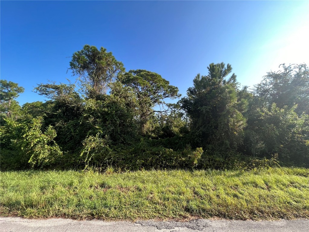 584 Kemper Avenue Lake Placid FL 33852 OK223142 image1