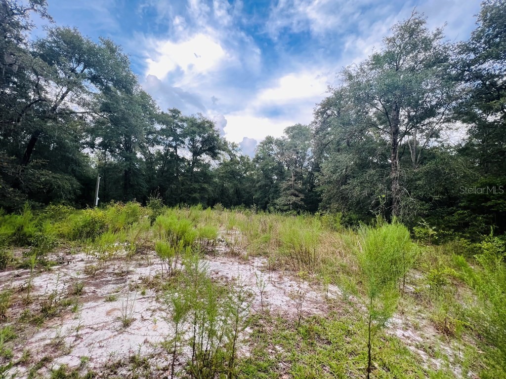 5840 NW 55th Street Bell FL 32619 GC507897 image1