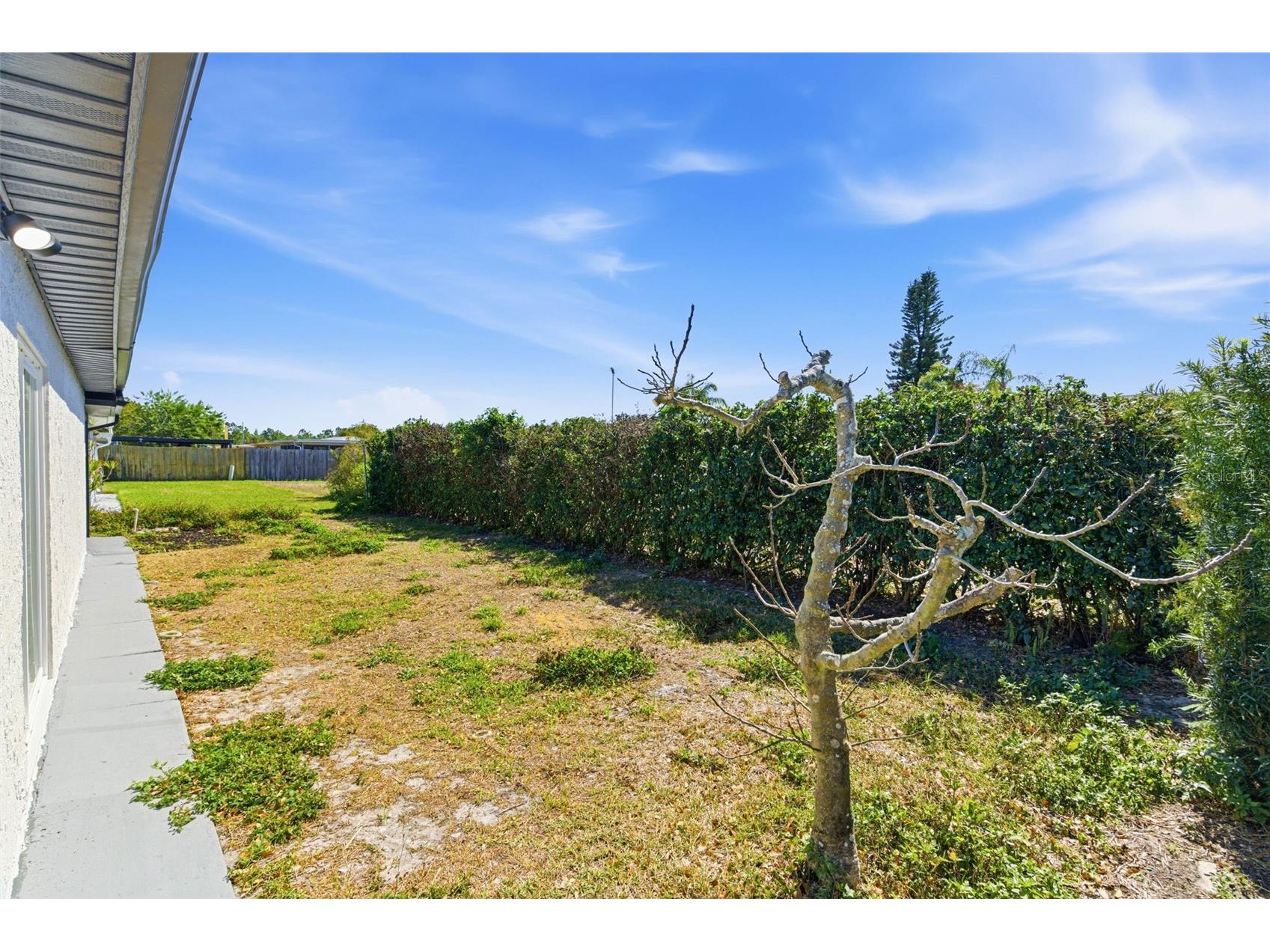 5840 Otis Drive New Port Richey FL 34652 TB8451602 image44