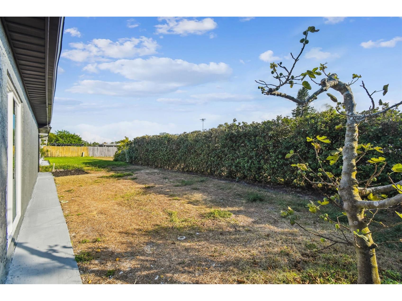 5840 Otis Drive New Port Richey FL 34652 TB8451602 image45