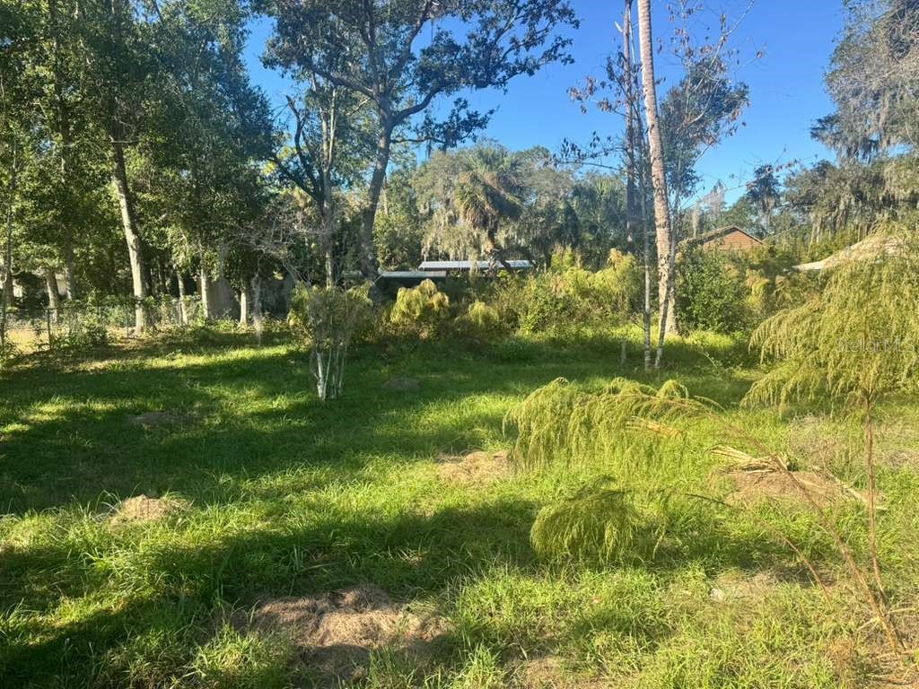 5841 Boggs Ford Road Port Orange FL 32127 O6358748 image12