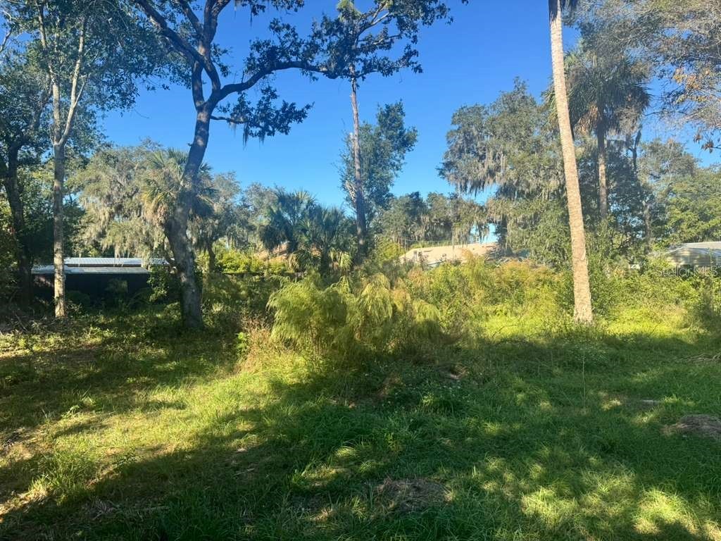 5841 Boggs Ford Road Port Orange FL 32127 O6358748 image13