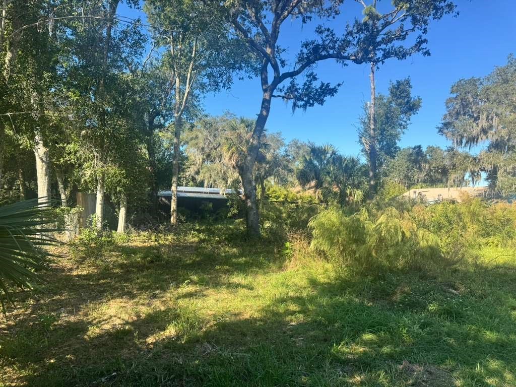 5841 Boggs Ford Road Port Orange FL 32127 O6358748 image14