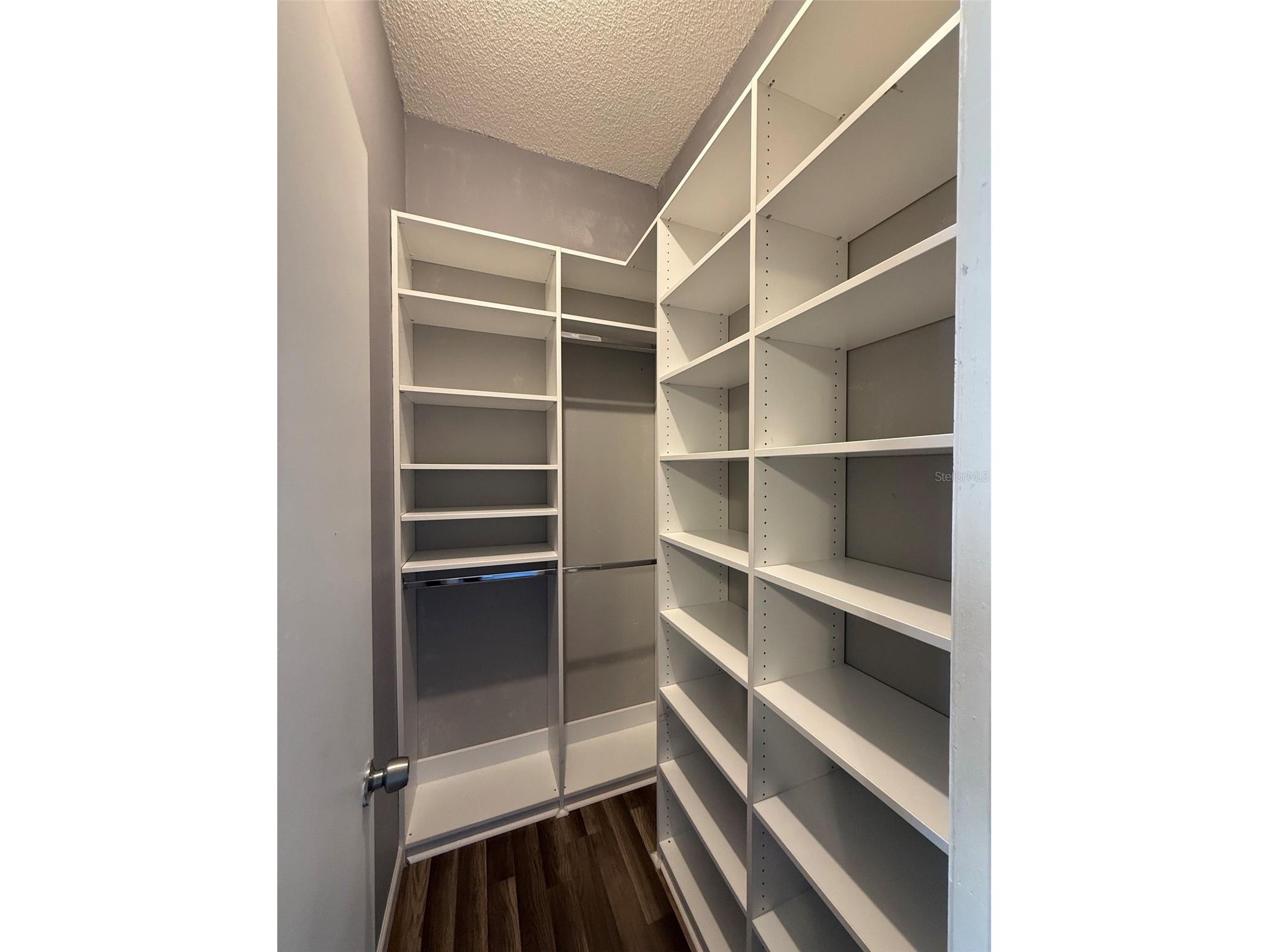 5841 Dorham Place Wesley Chapel FL 33545 TB8510508 image28