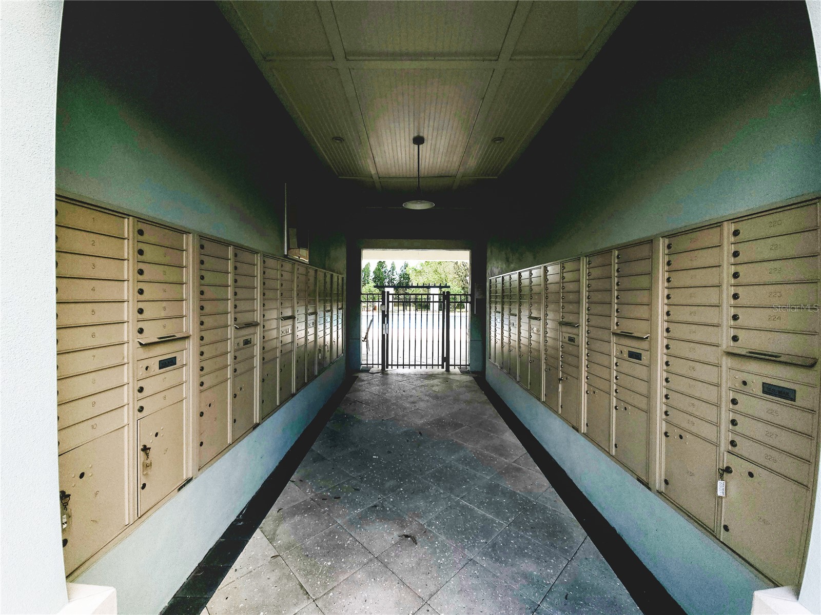 5841 Grand Sonata Avenue Lutz FL 33558 TB8483803 image48