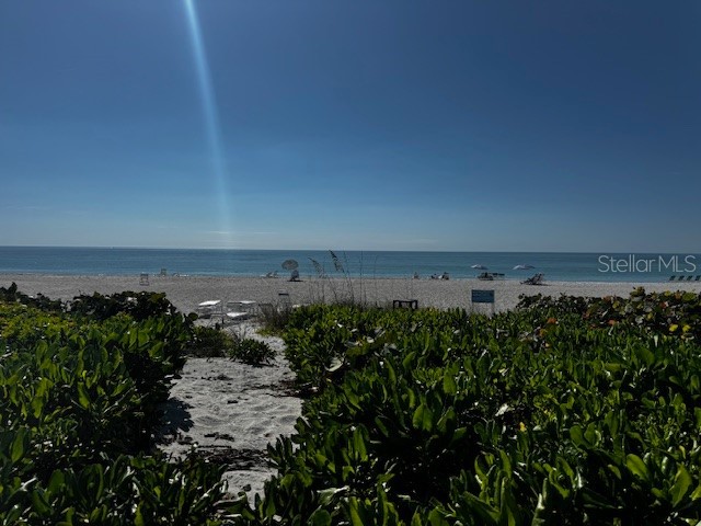 5841 Gulf Of Mexico Drive #236 Longboat Key FL 34228 - GULF OF AMERICA A4679009 image8